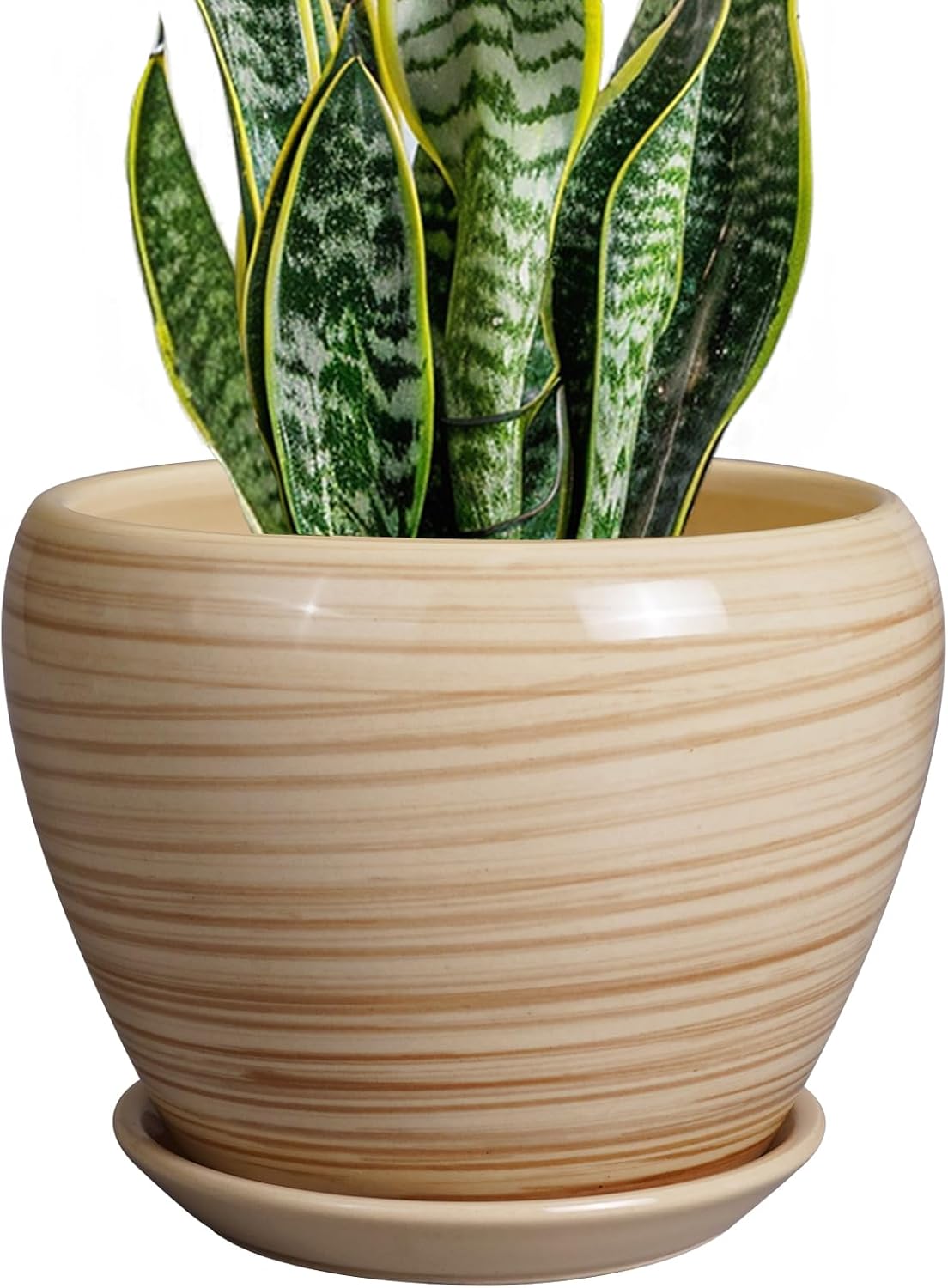 Glazed Ceramic Succulent Planter with Saucer, 6 inch