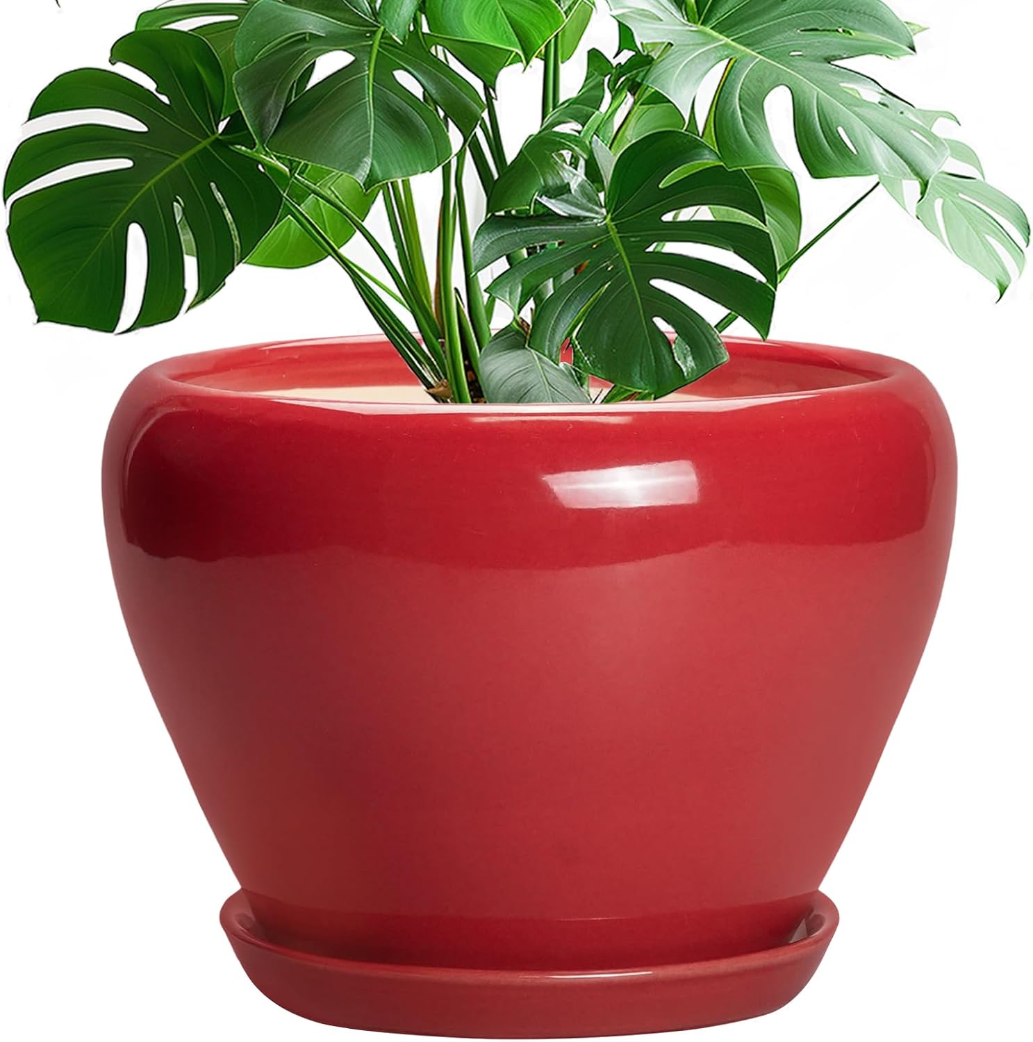 Glazed Ceramic Succulent Planter with Saucer, 6 inch