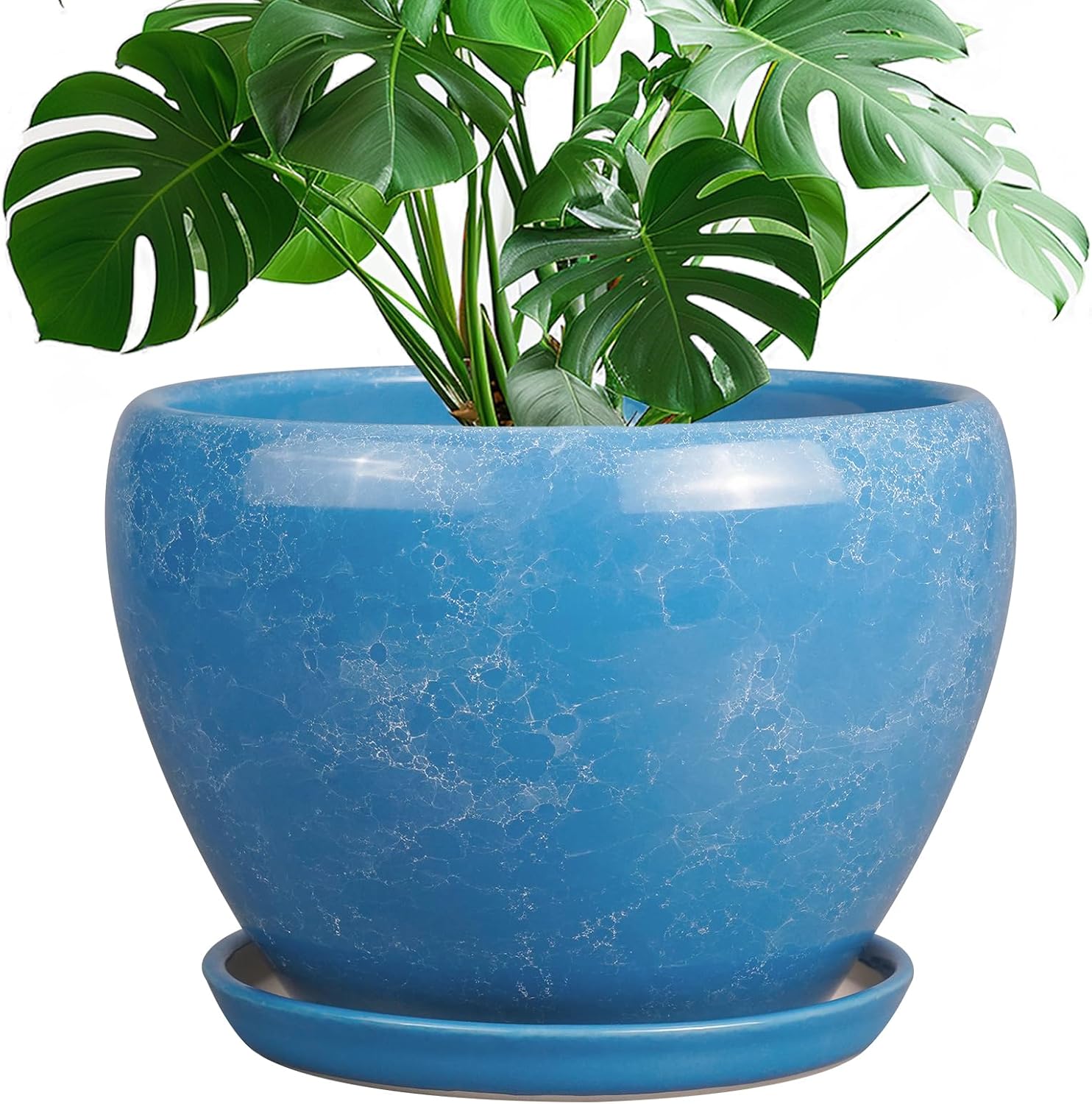 Glazed Ceramic Succulent Planter with Saucer, 6 inch