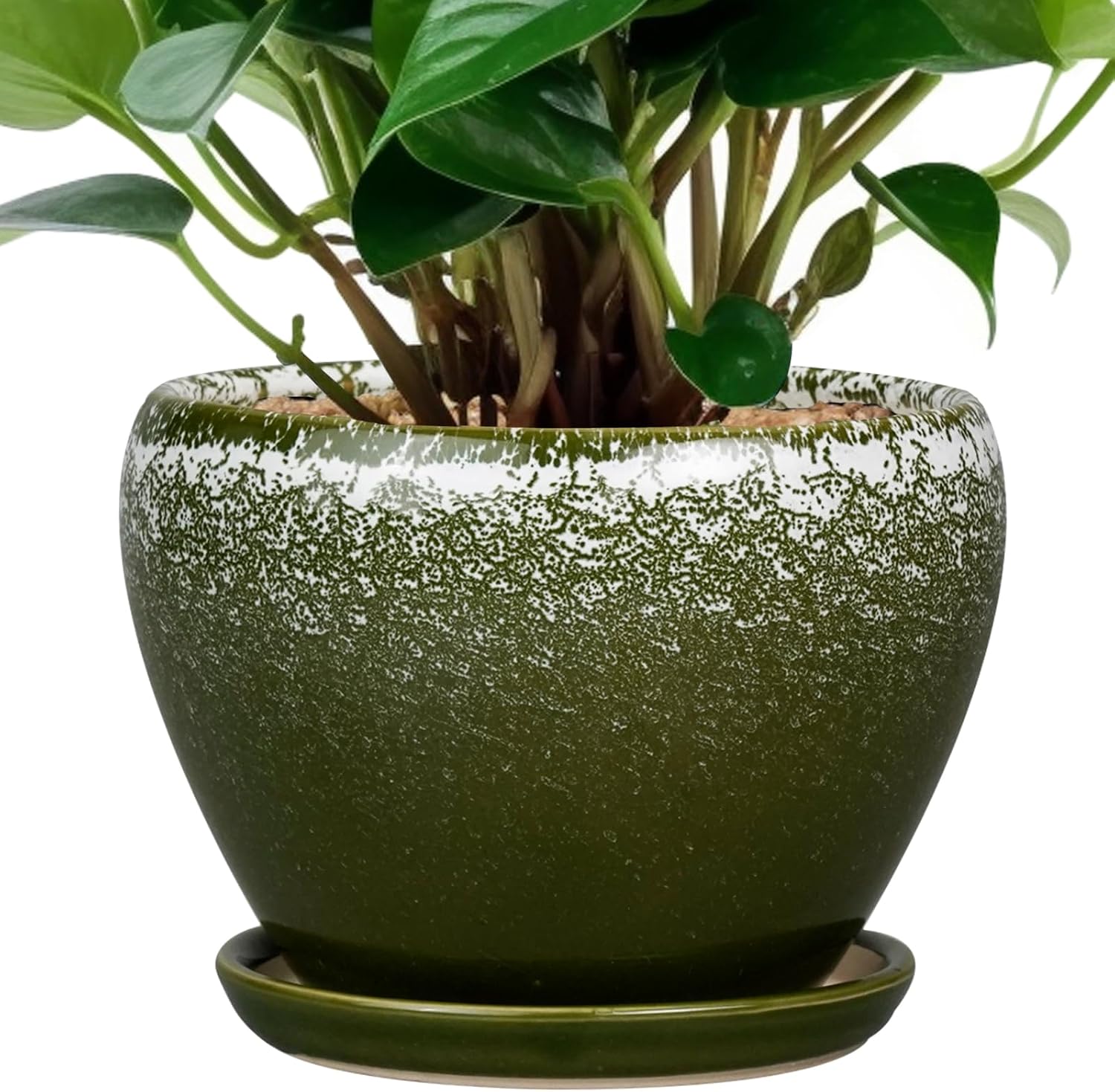 Glazed Ceramic Succulent Planter with Saucer, 6 inch