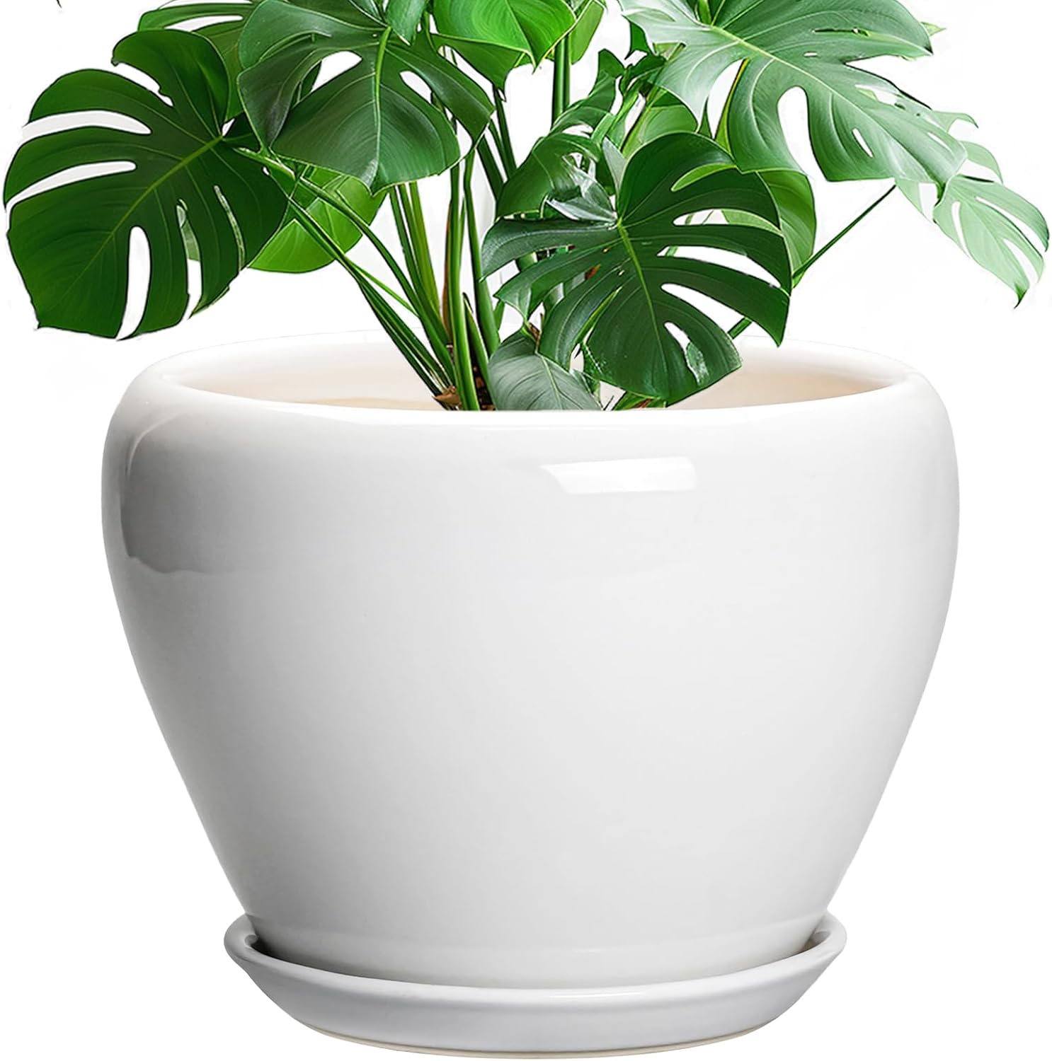 Glazed Ceramic Succulent Planter with Saucer, 6 inch
