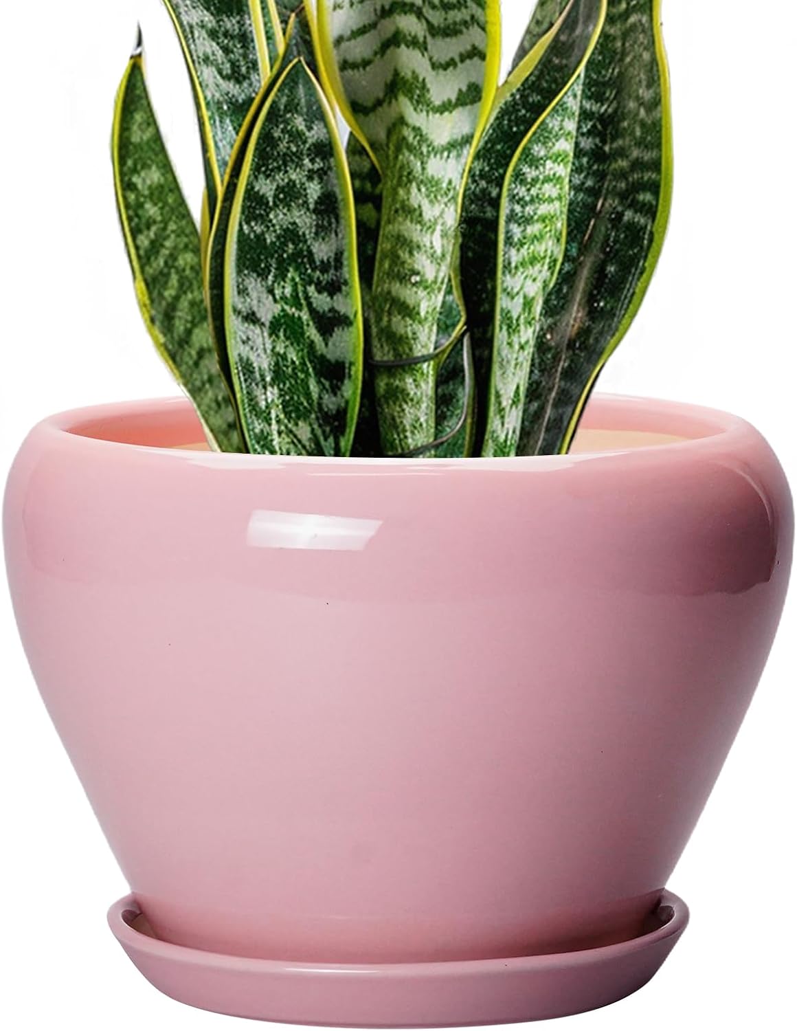 Glazed Ceramic Succulent Planter with Saucer, 6 inch