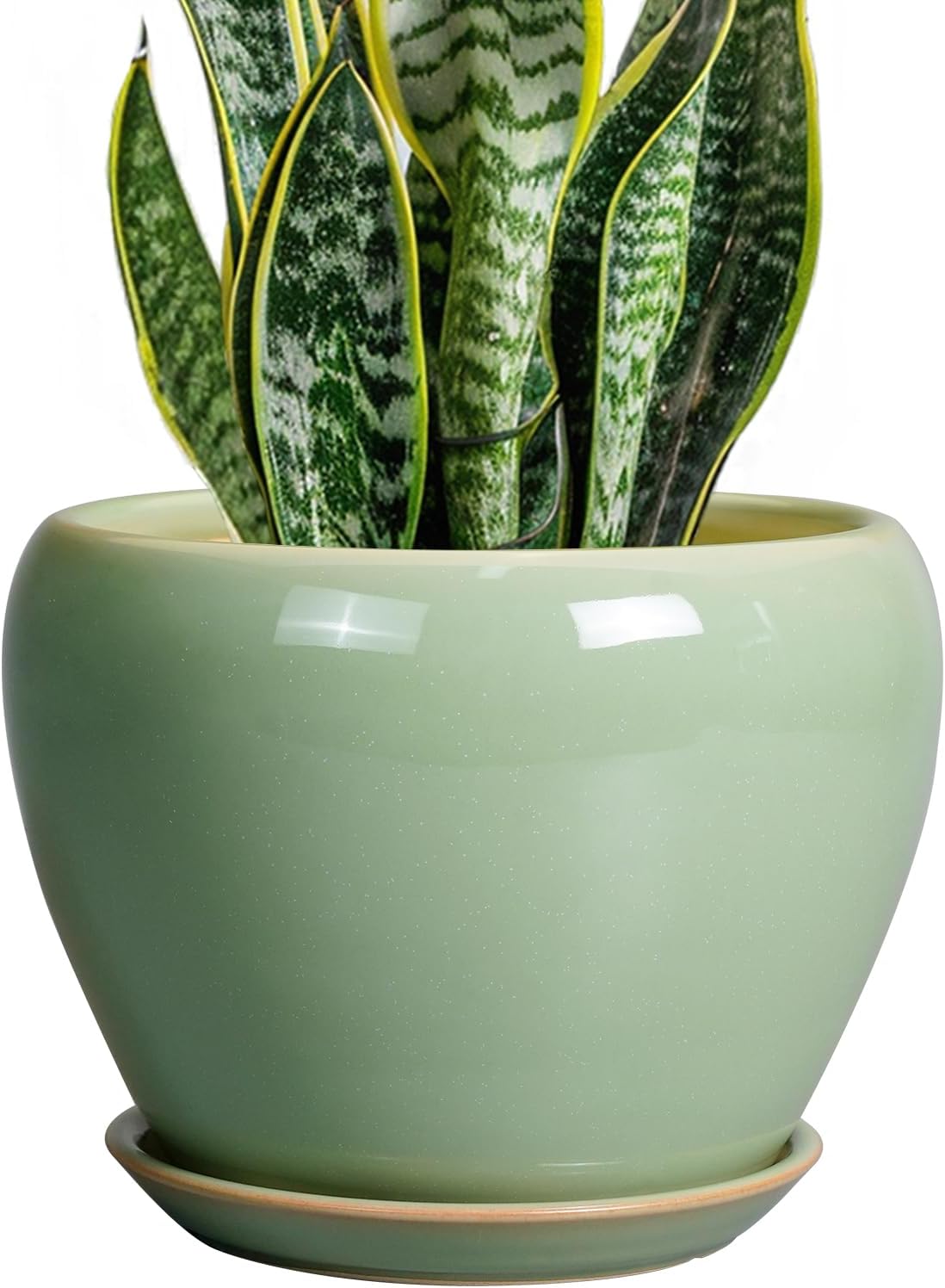 Glazed Ceramic Succulent Planter with Saucer, 6 inch