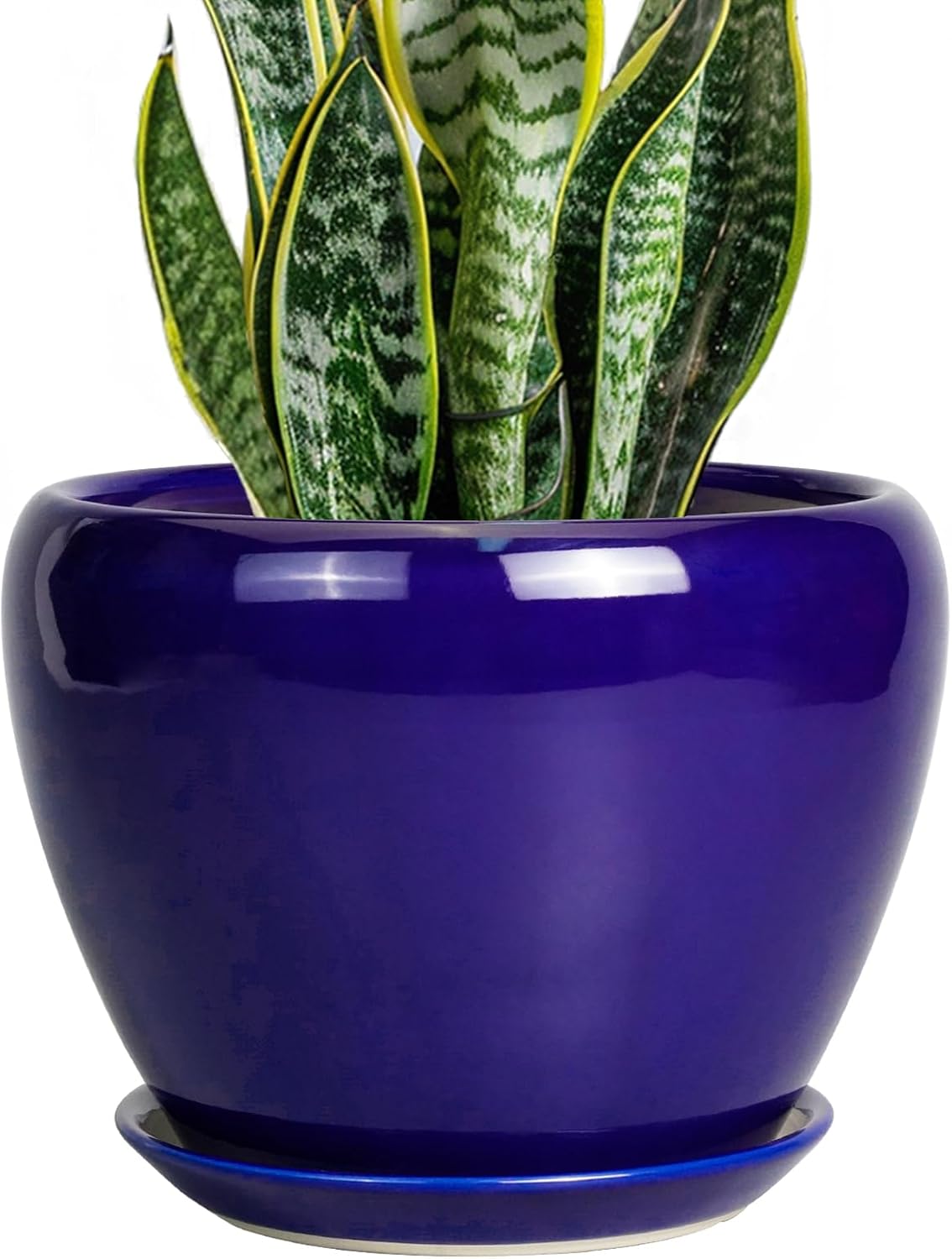 Glazed Ceramic Succulent Planter with Saucer, 6 inch