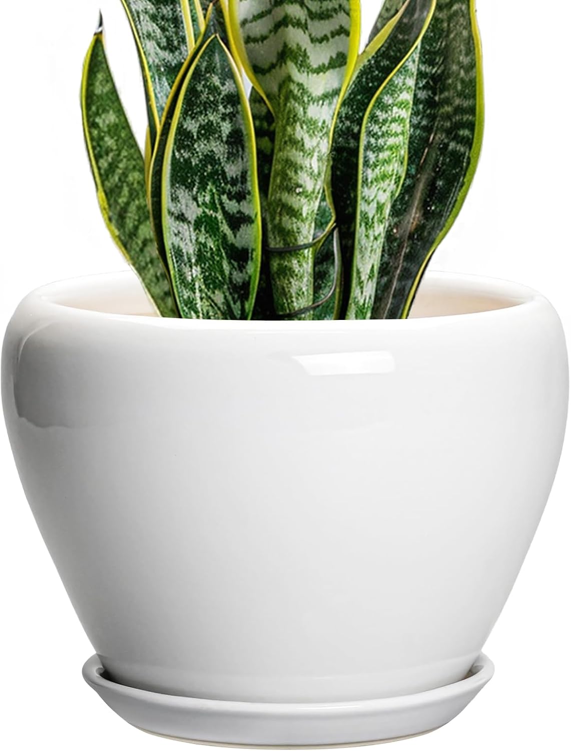 Glazed Ceramic Succulent Planter with Saucer, 6 inch