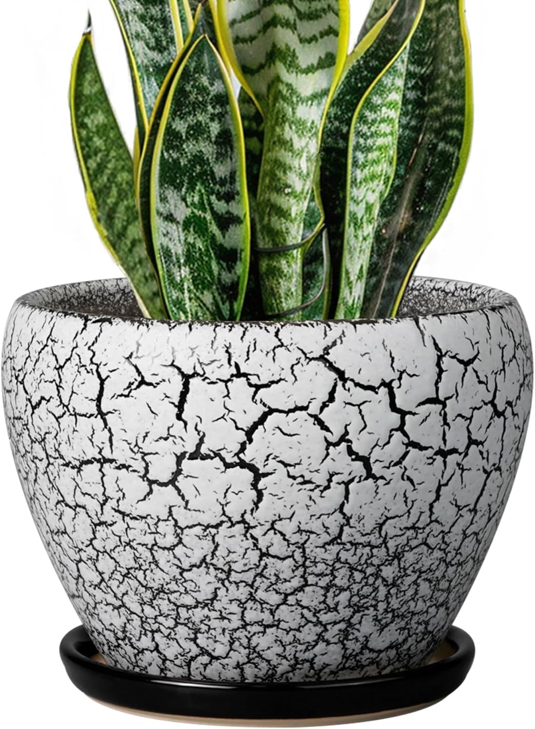 Glazed Ceramic Succulent Planter with Saucer, 6 inch