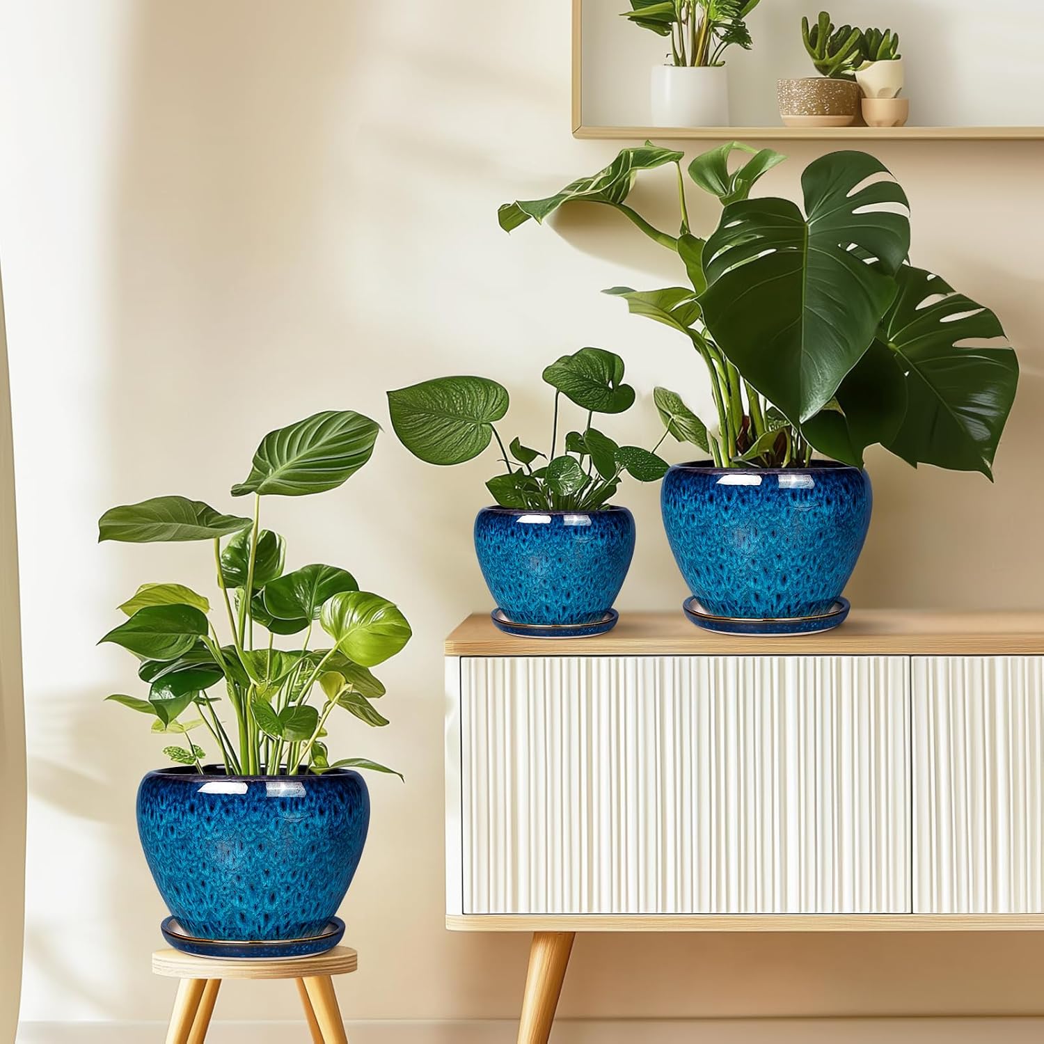 Glazed Ceramic Succulent Planter with Saucer, 6 inch