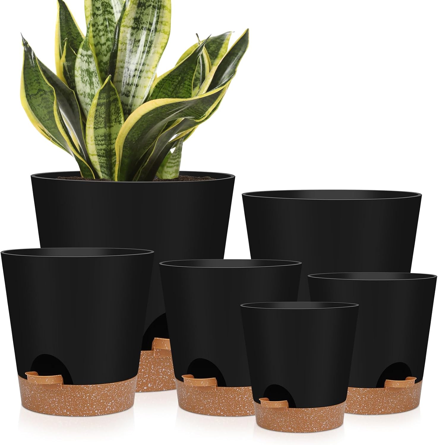 Indoor Self-Watering Planters with Saucers, 6 to 8 inch