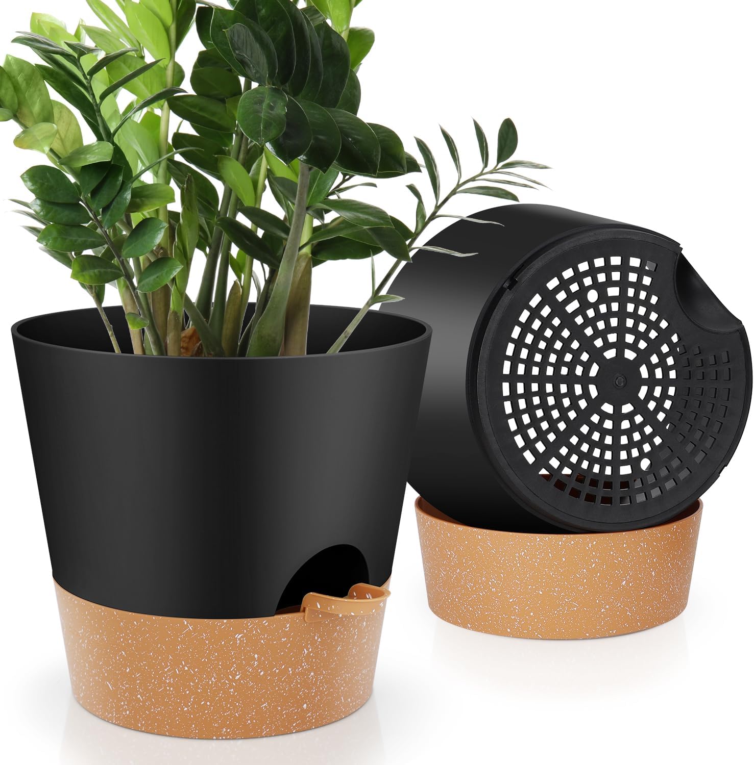 Indoor Self-Watering Planters with Saucers, 6 to 8 inch