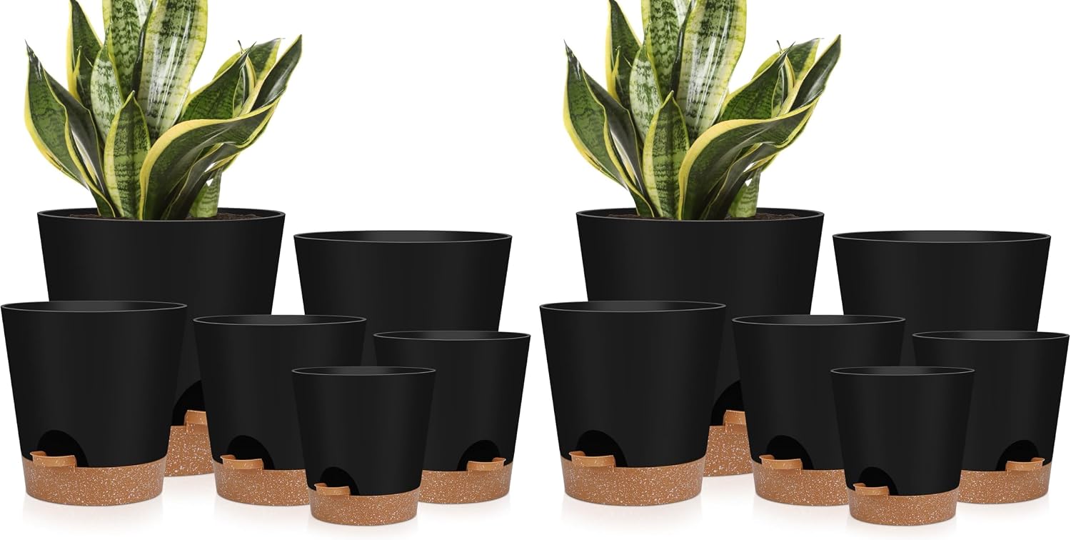 Indoor Self-Watering Planters with Saucers, 6 to 8 inch