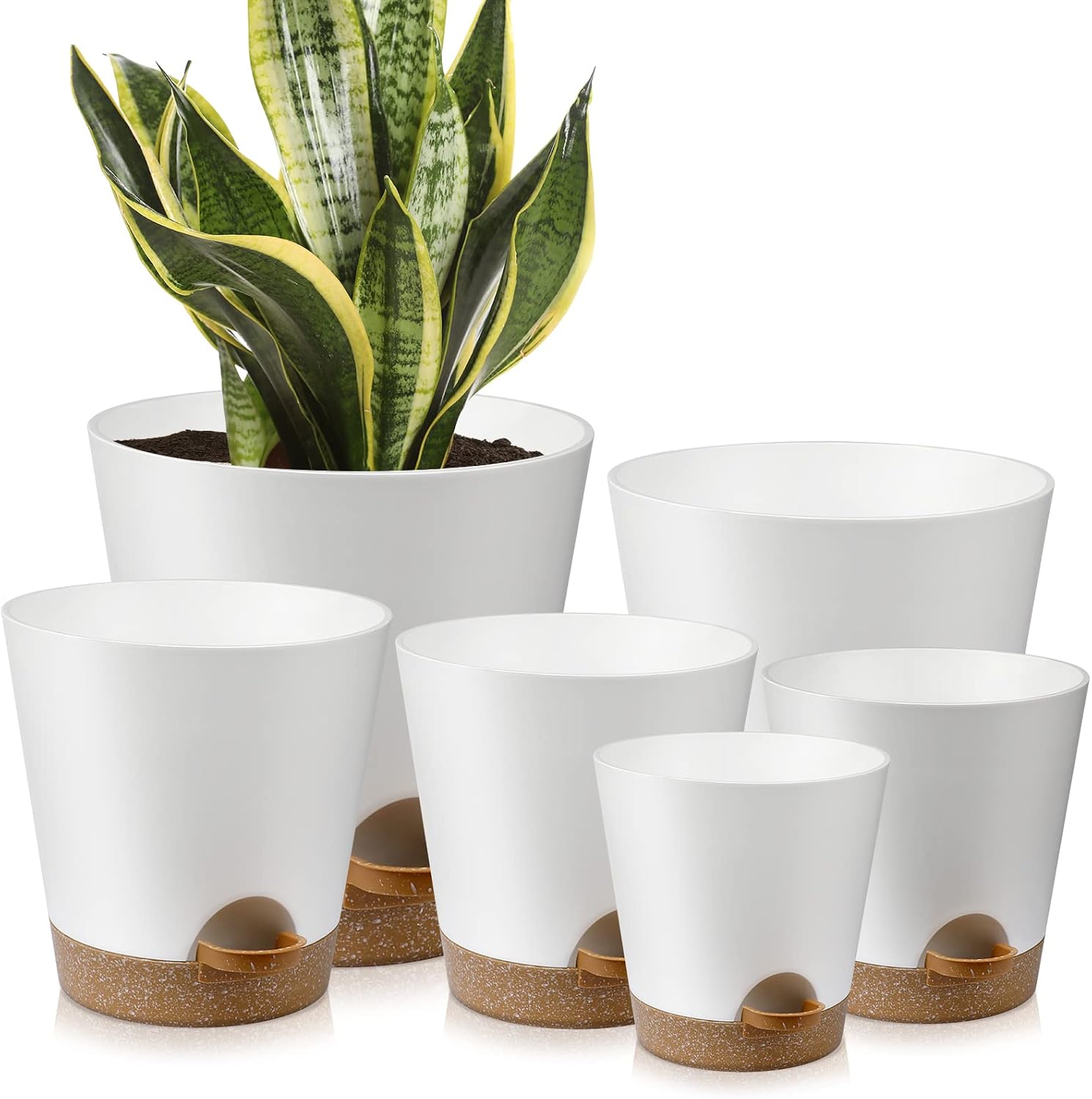 Indoor Self-Watering Planters with Saucers, 6 to 8 inch