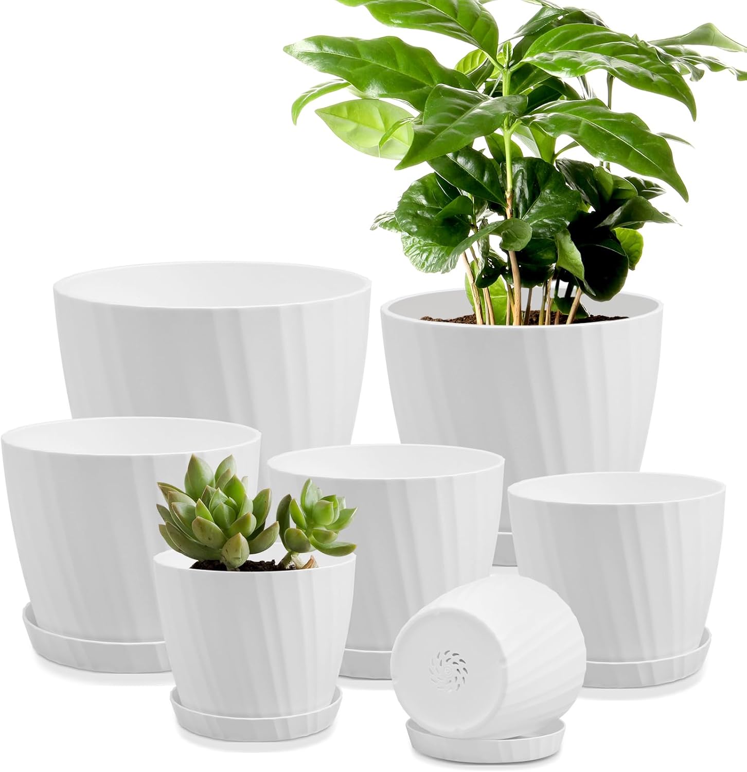 Indoor Self-Watering Planters with Saucers, 6 to 8 inch