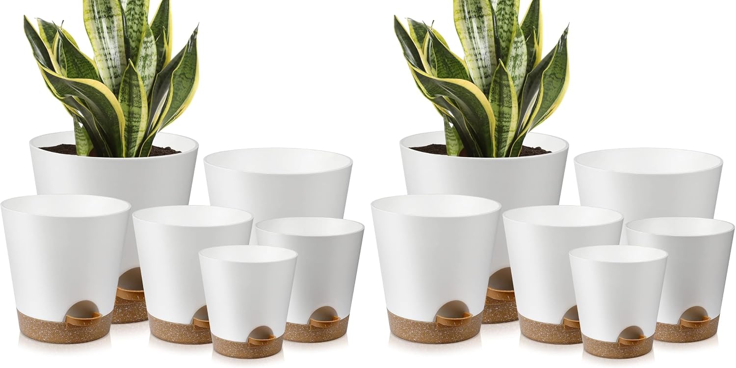 Indoor Self-Watering Planters with Saucers, 6 to 8 inch