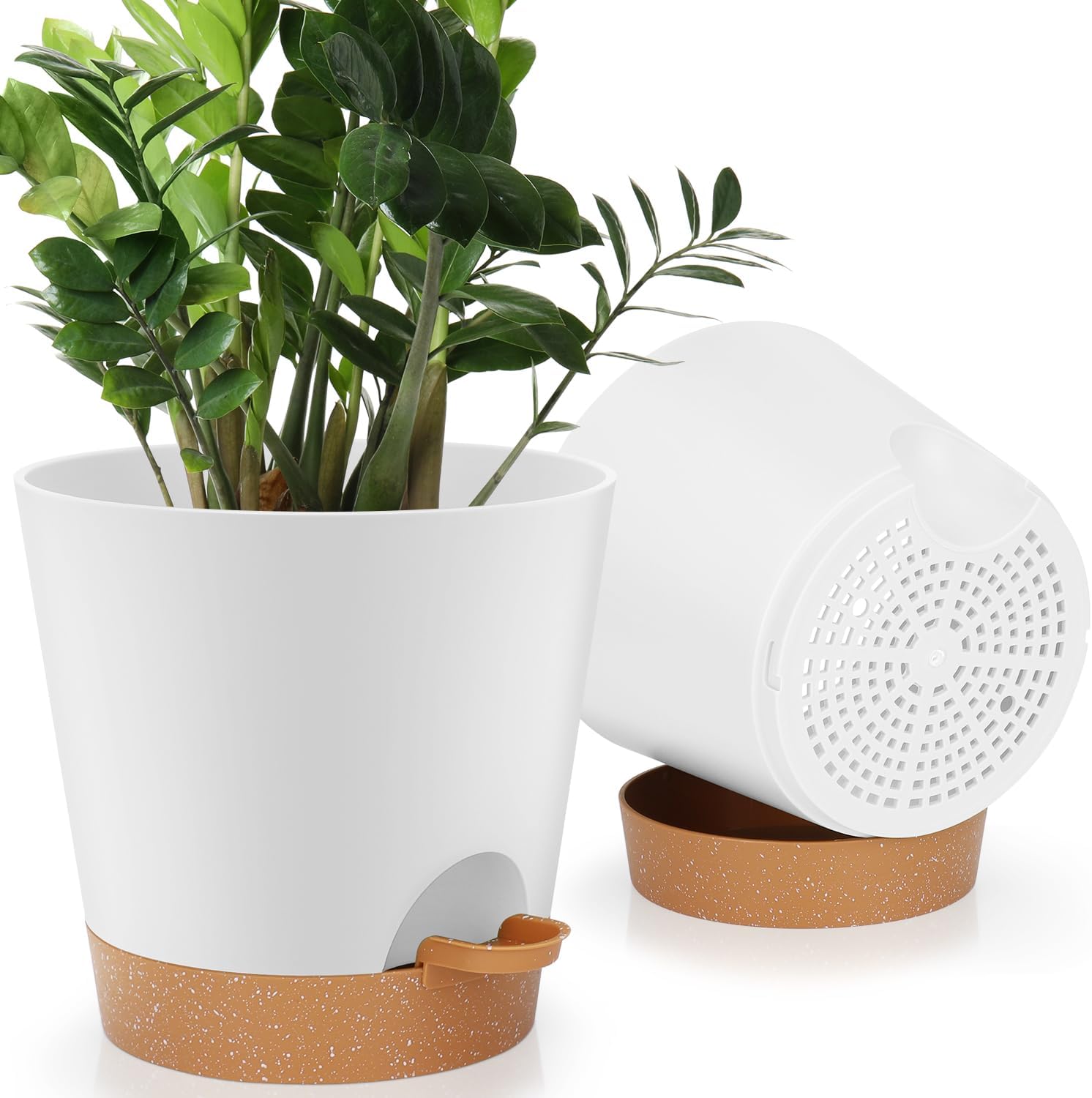 Indoor Self-Watering Planters with Saucers, 6 to 8 inch