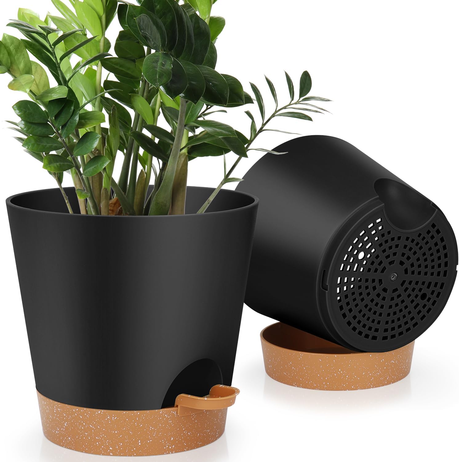 Indoor Self-Watering Planters with Saucers, 6 to 8 inch