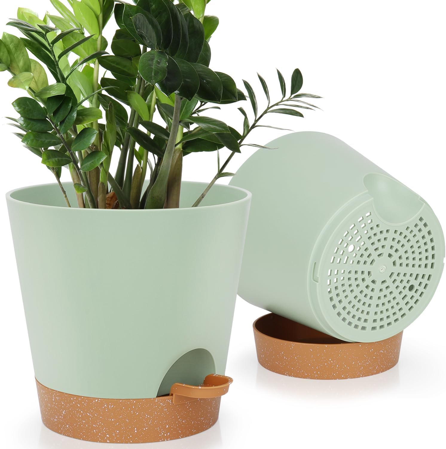Indoor Self-Watering Planters with Saucers, 6 to 8 inch