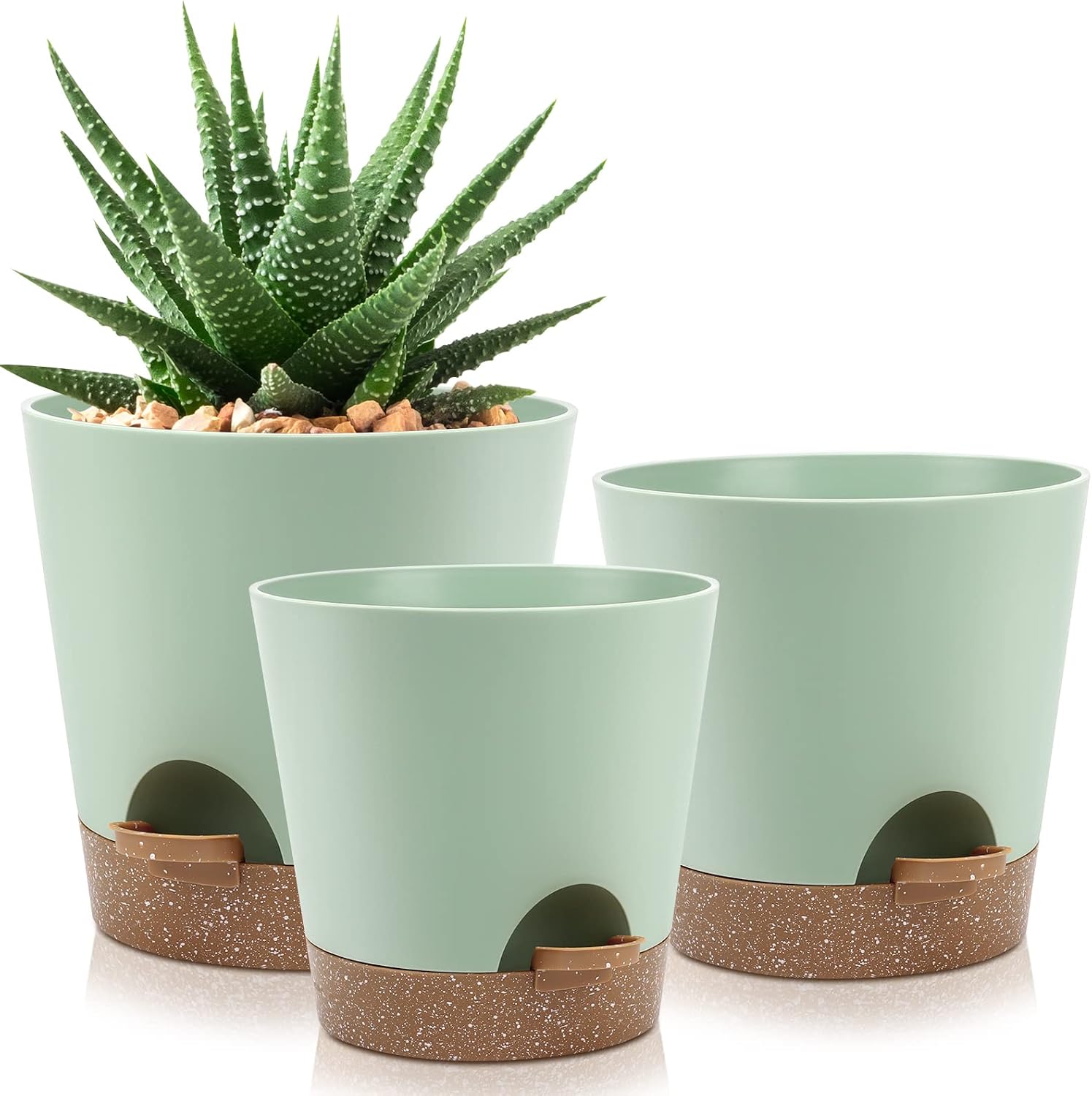 Indoor Self-Watering Planters with Saucers, 6 to 8 inch