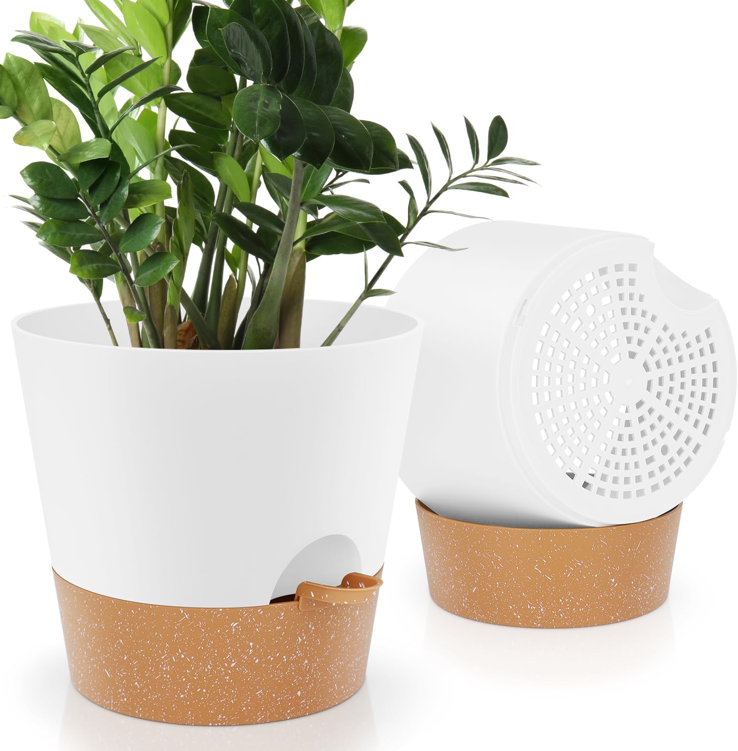 Indoor Self-Watering Planters with Saucers, 6 to 8 inch
