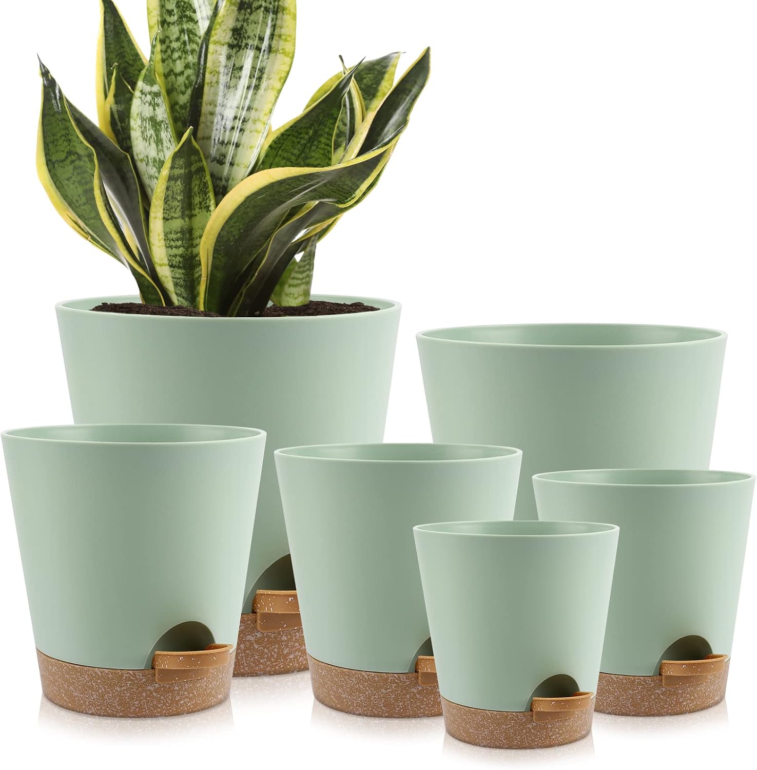Indoor Self-Watering Planters with Saucers, 6 to 8 inch