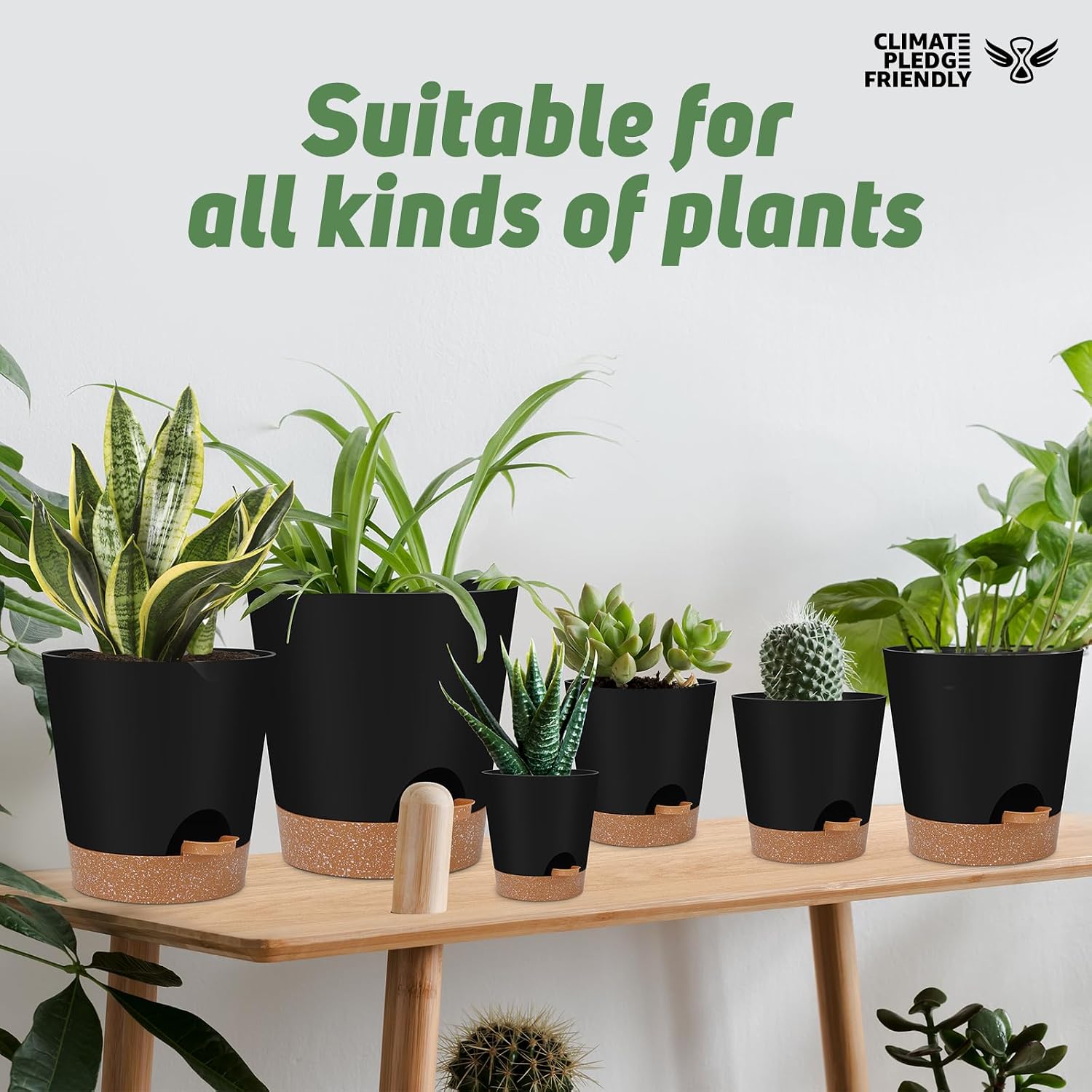 Indoor Self-Watering Planters with Saucers, 6 to 8 inch