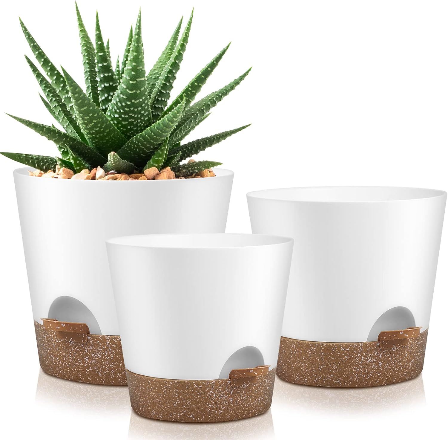 Indoor Self-Watering Planters with Saucers, 6 to 8 inch