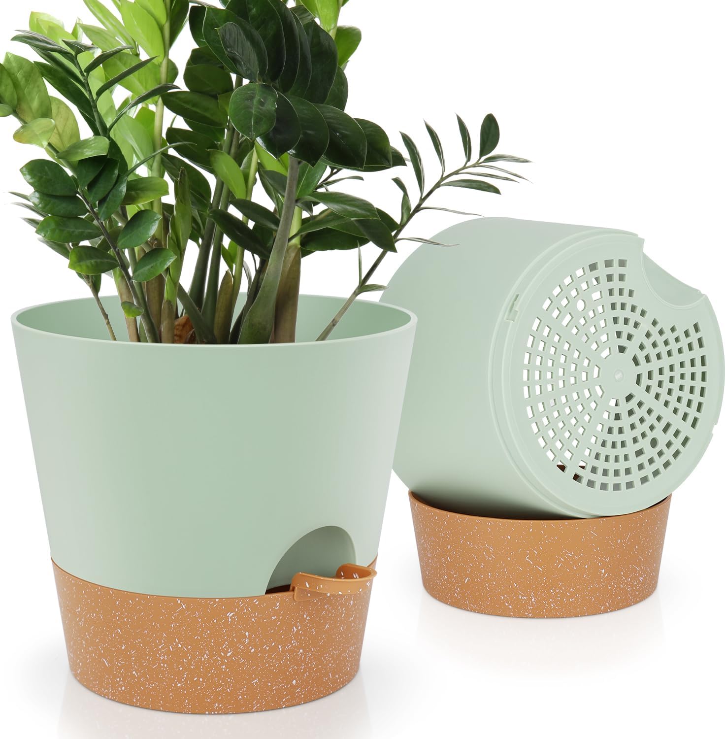 Indoor Self-Watering Planters with Saucers, 6 to 8 inch