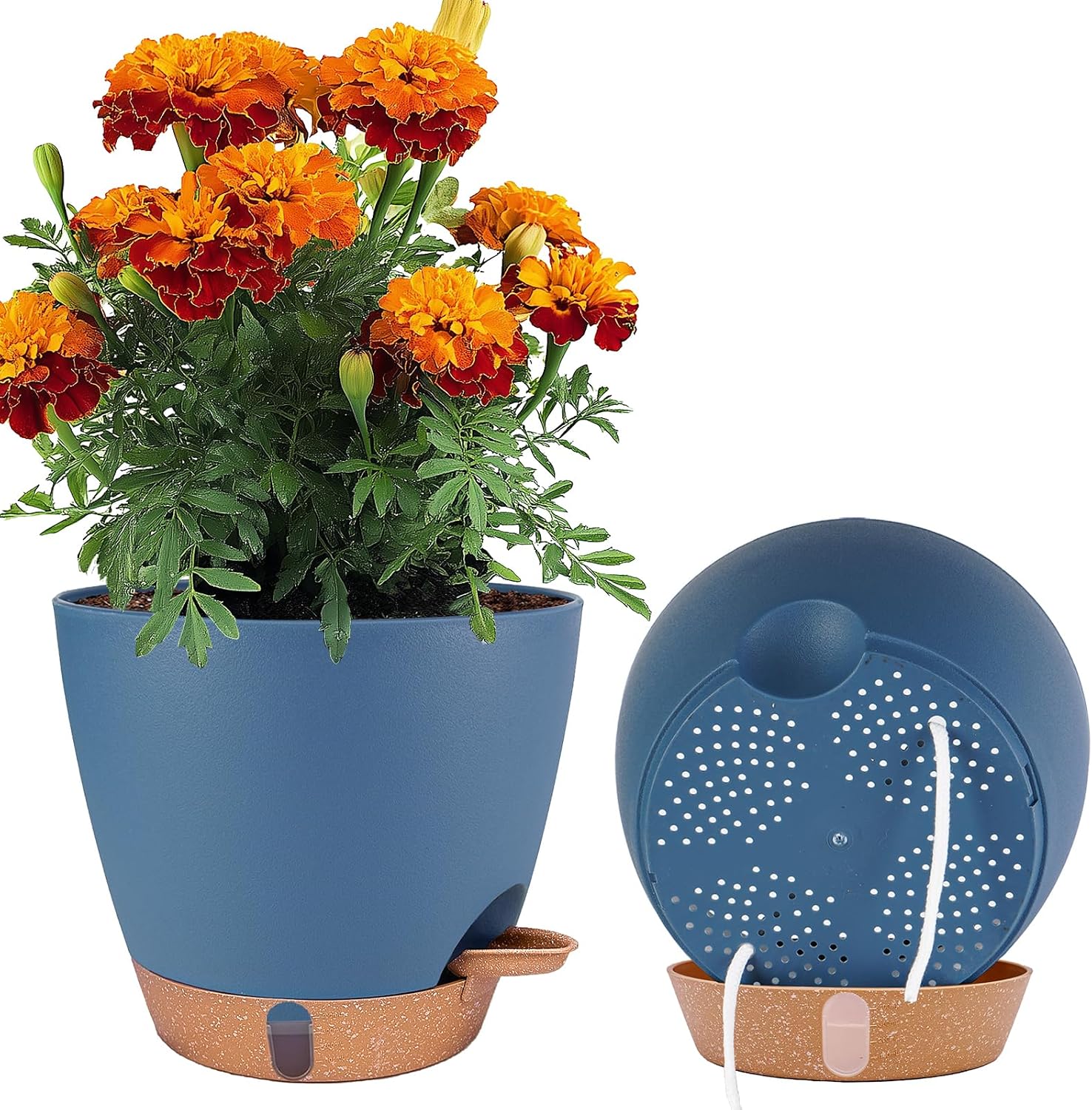 Large Self-Watering Pots, 8, 10 and 12 inch