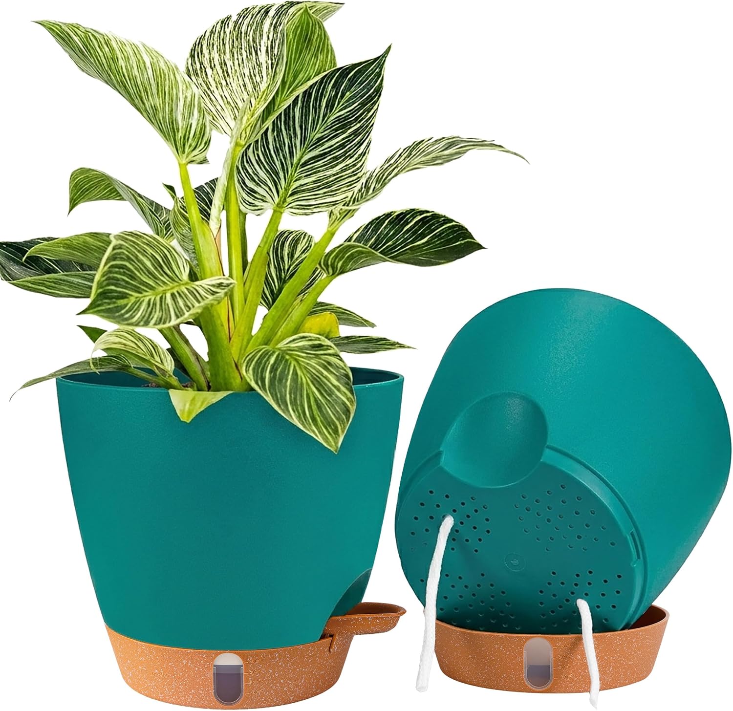Large Self-Watering Pots, 8, 10 and 12 inch