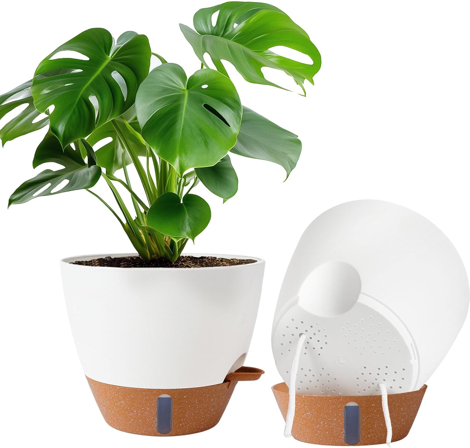 Large Self-Watering Pots, 8, 10 and 12 inch