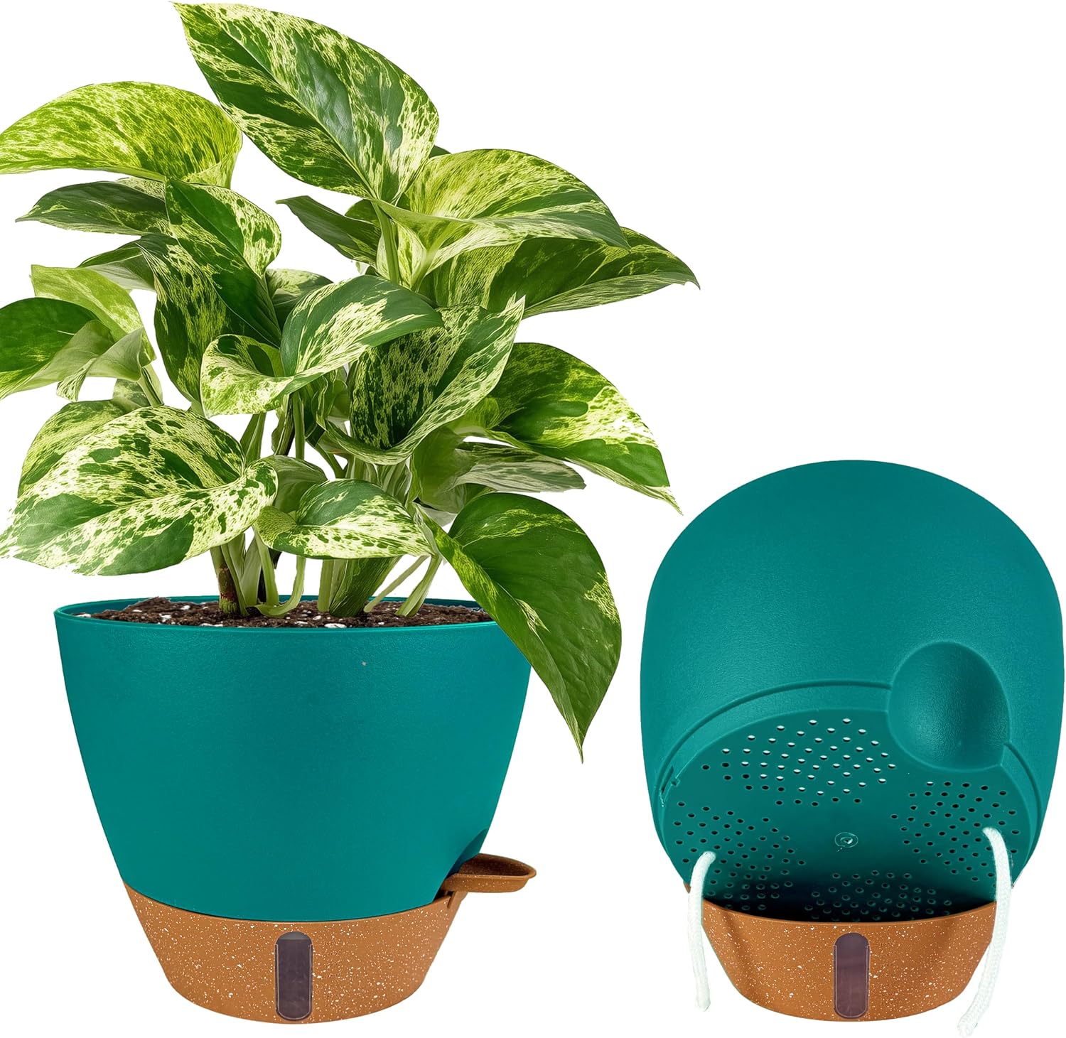 Large Self-Watering Pots, 8, 10 and 12 inch