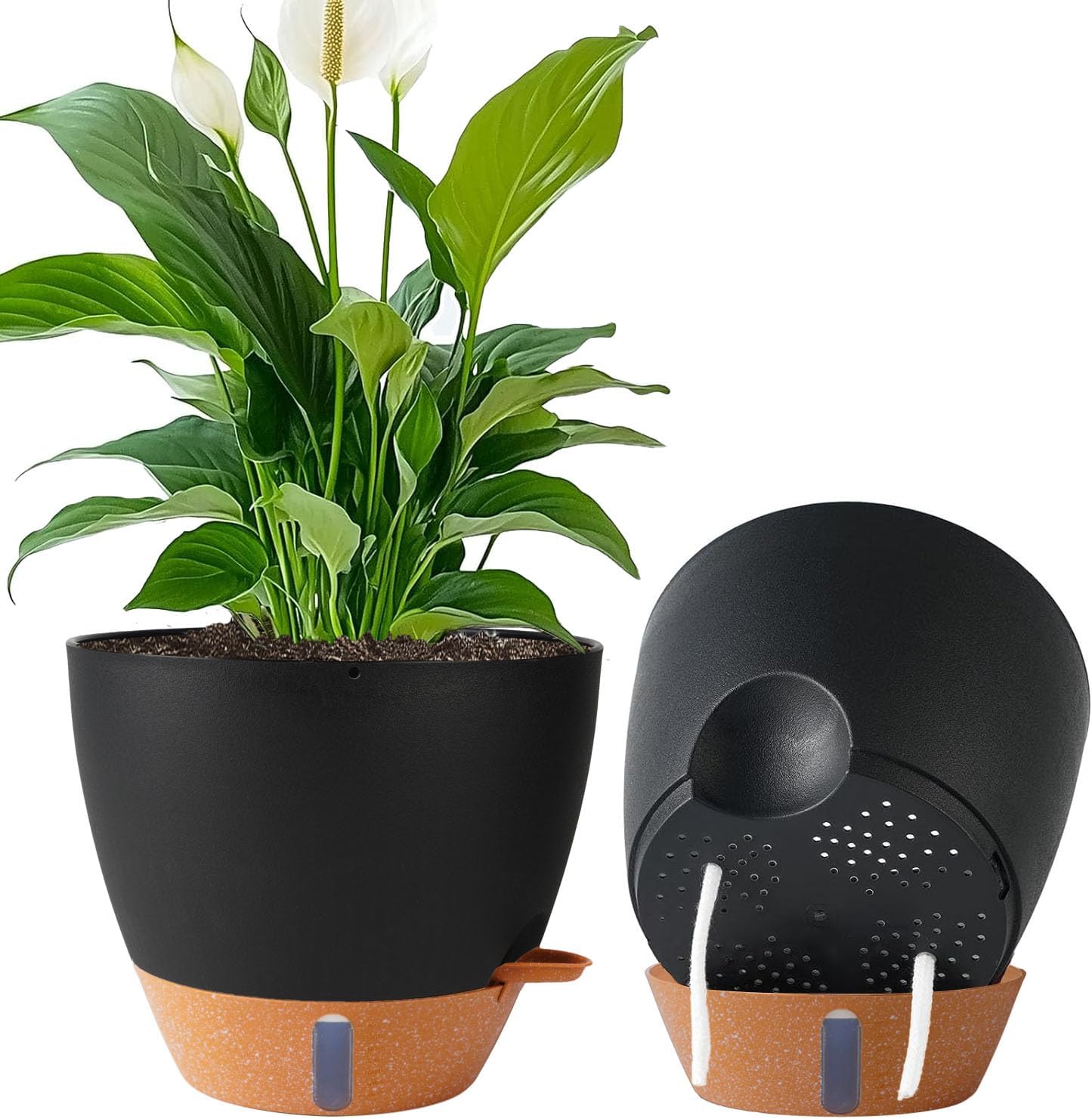Large Self-Watering Pots, 8, 10 and 12 inch