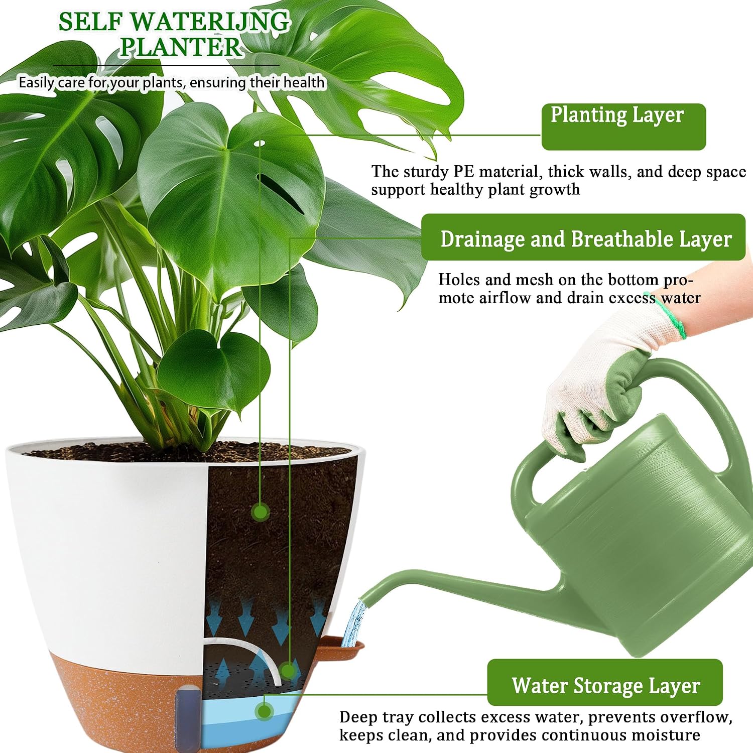 Large Self-Watering Pots, 8, 10 and 12 inch