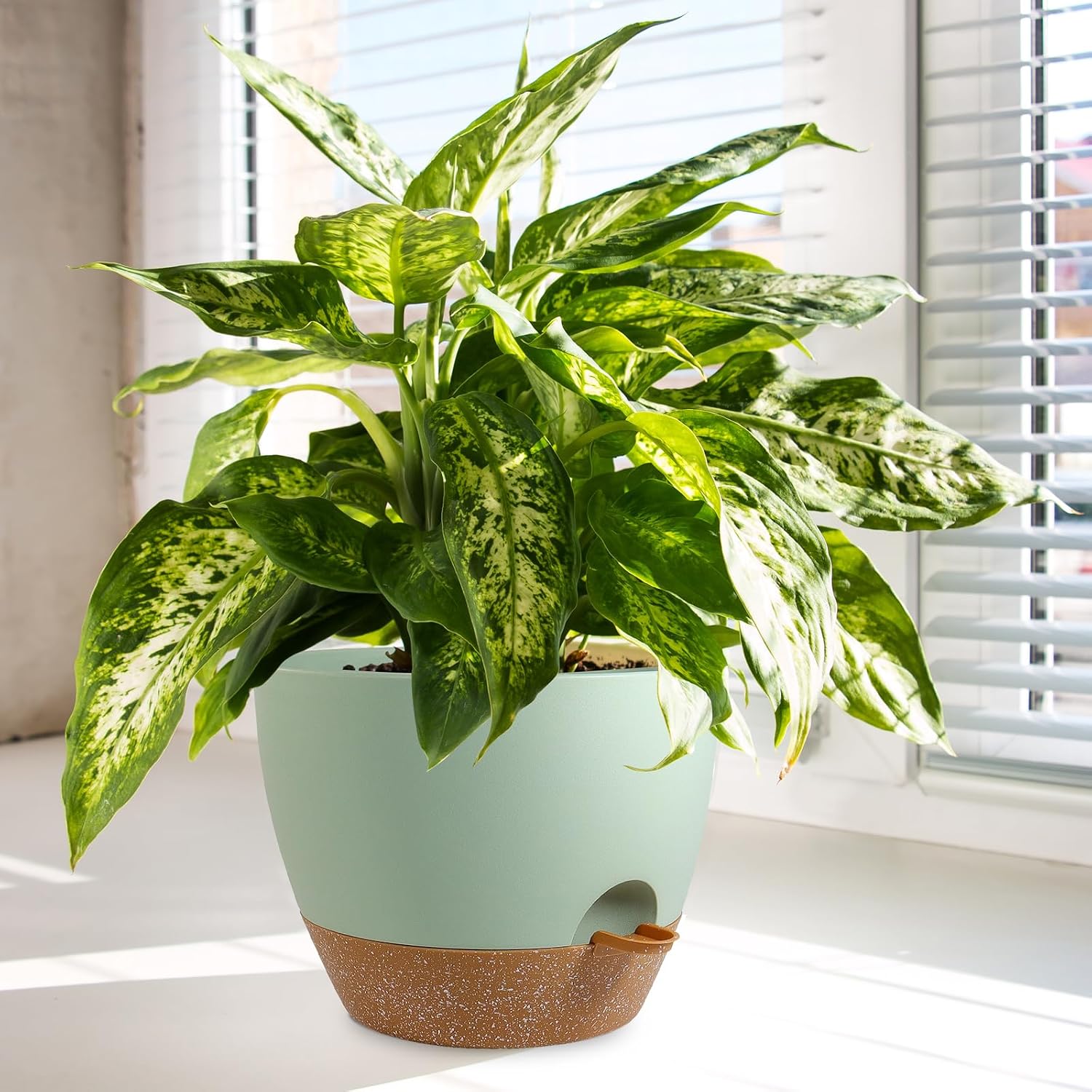 Large Self-Watering Pots with Mesh Drainage, 9 to 12 inch