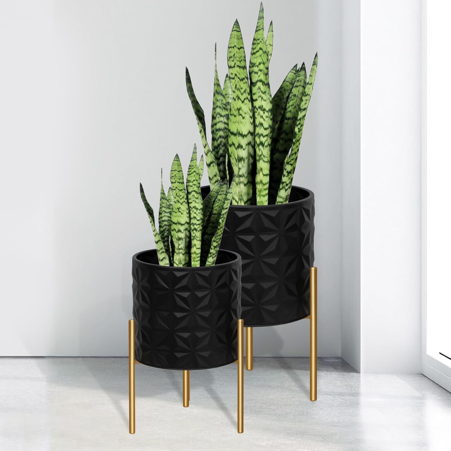Mid-Century Planters with Wooden Stand, Set of 2