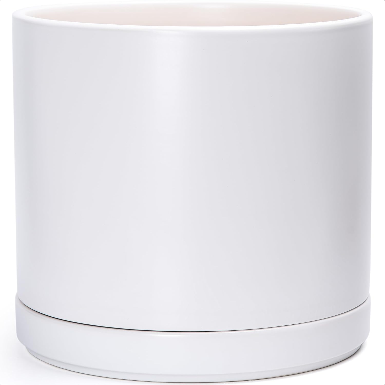 Modern Cylinder Ceramic Planter, 6.5 inch, Olive