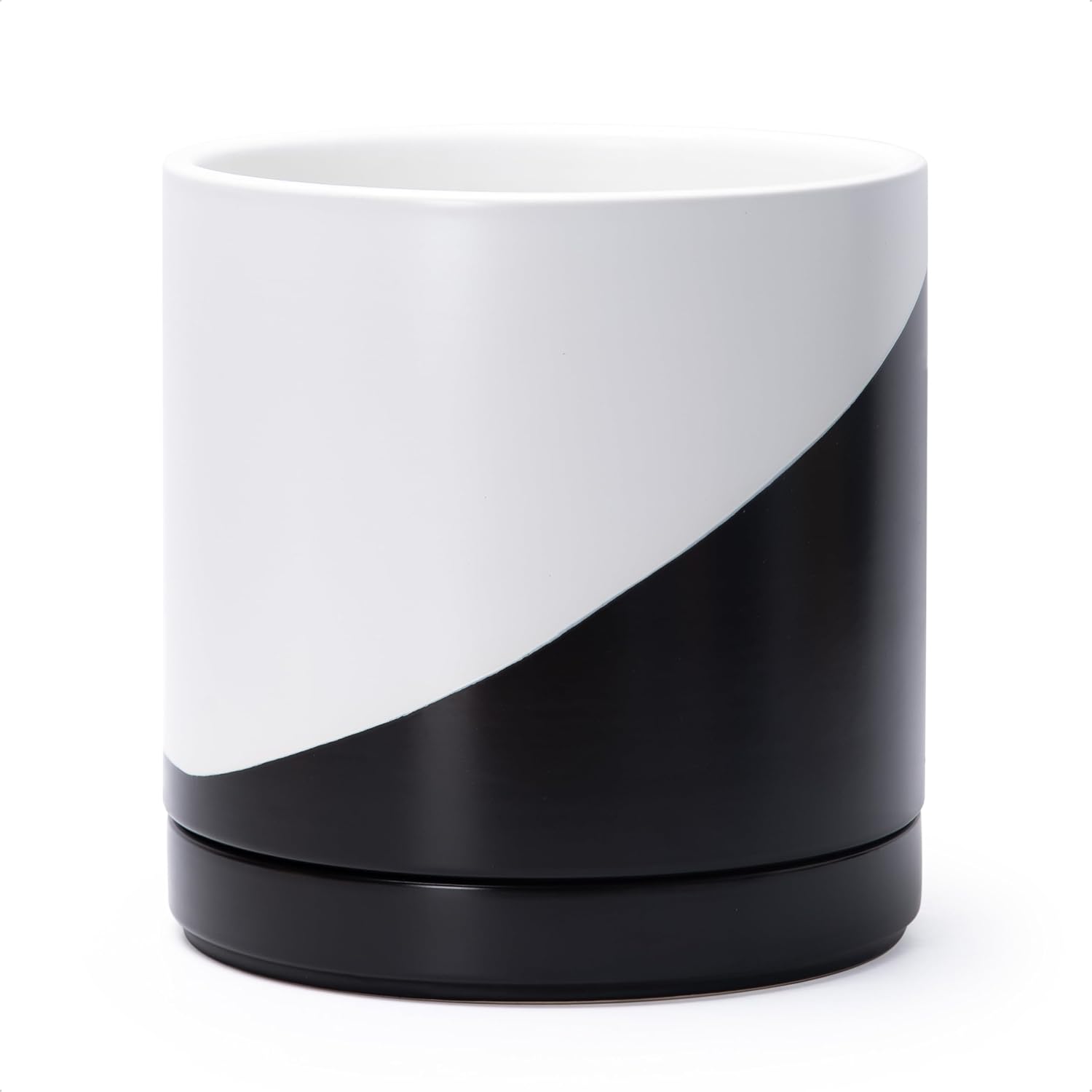 Modern Cylinder Ceramic Planter, 6.5 inch, Olive