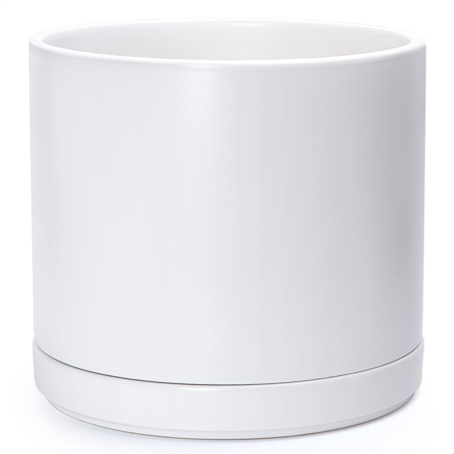 Modern Cylinder Ceramic Planter, 6.5 inch, Olive