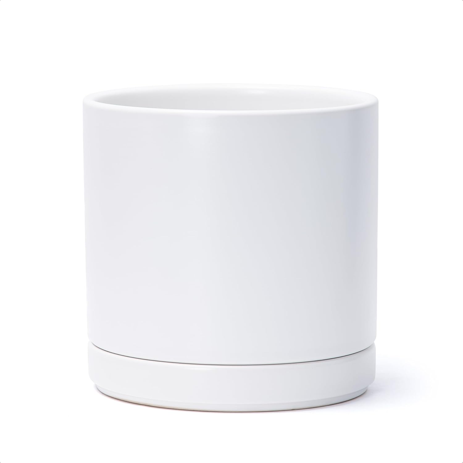 Modern Cylinder Ceramic Planter, 6.5 inch, Olive