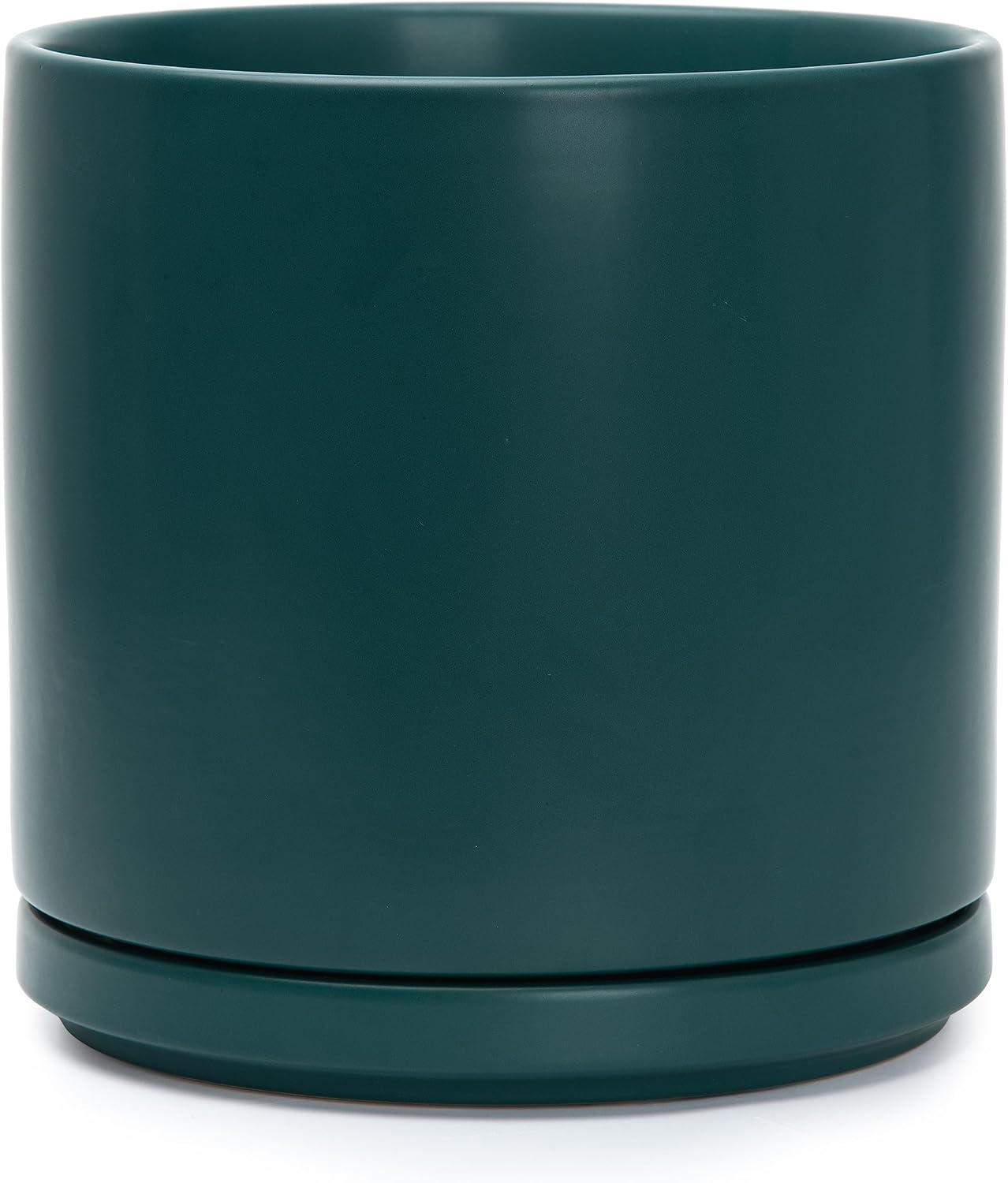 Modern Cylinder Ceramic Planter, 6.5 inch, Olive