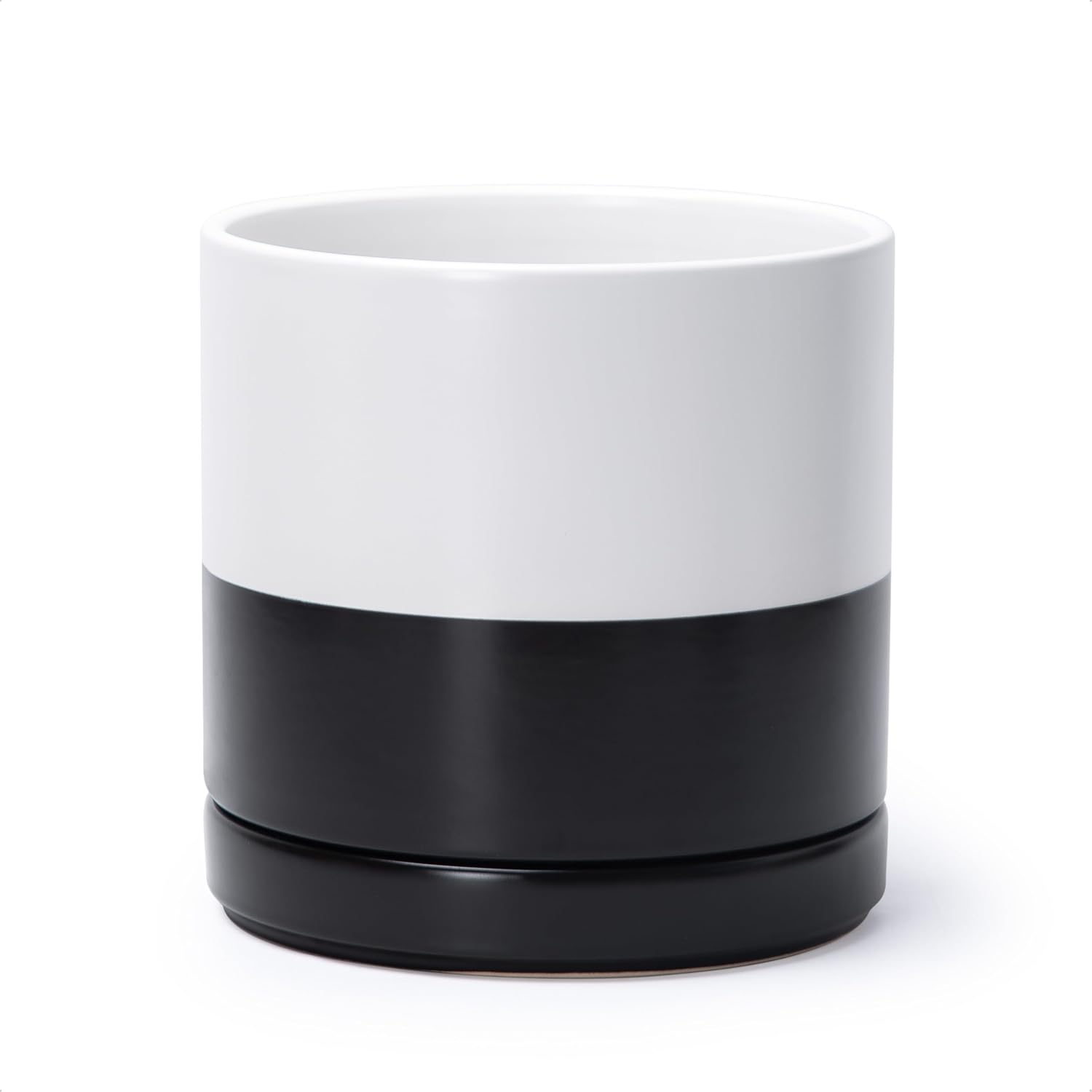 Modern Cylinder Ceramic Planter, 6.5 inch, Olive