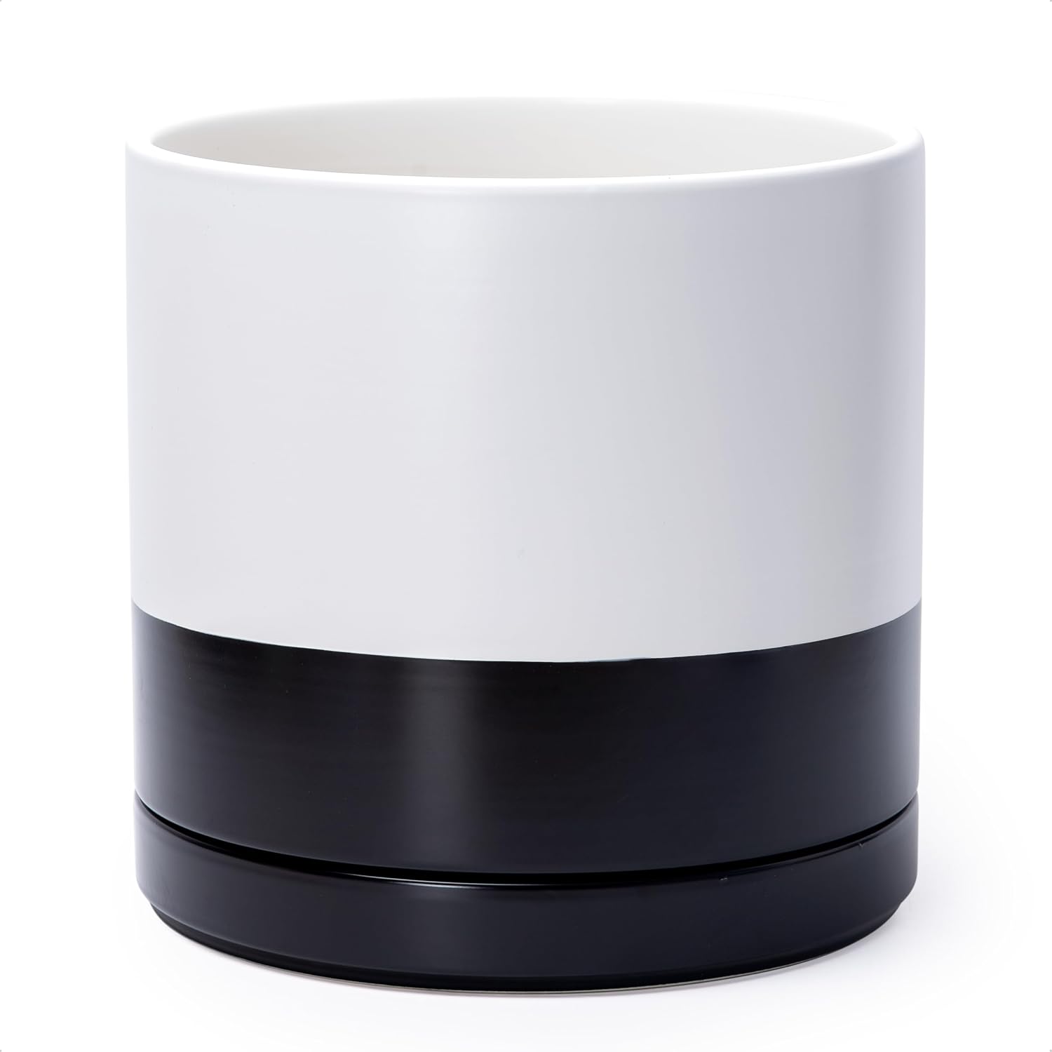 Modern Cylinder Ceramic Planter, 6.5 inch, Olive