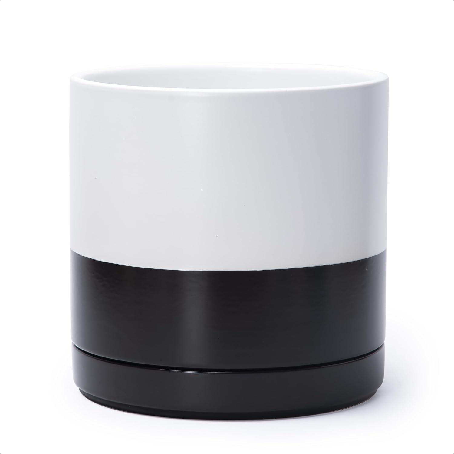 Modern Cylinder Ceramic Planter, 6.5 inch, Olive