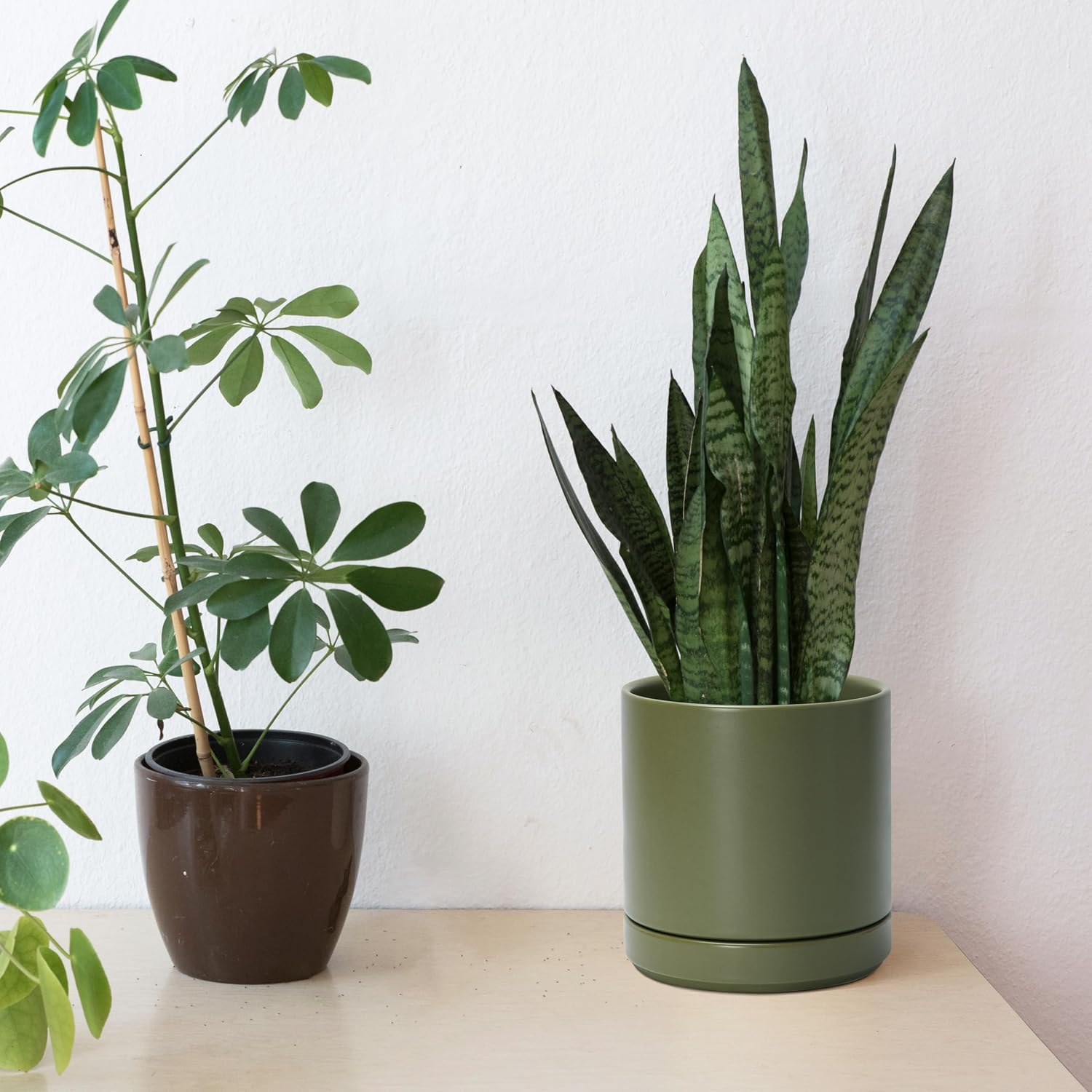 Modern Cylinder Ceramic Planter, 6.5 inch, Olive