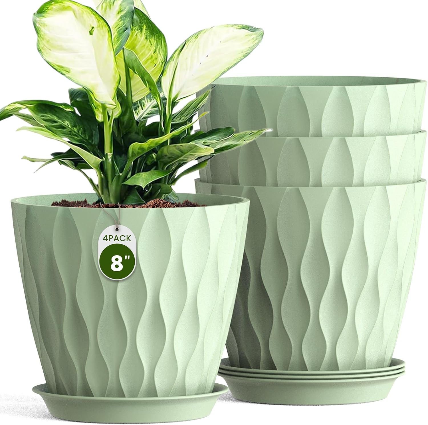 Plastic Planters with Saucers, 4 Pack, 8 inch