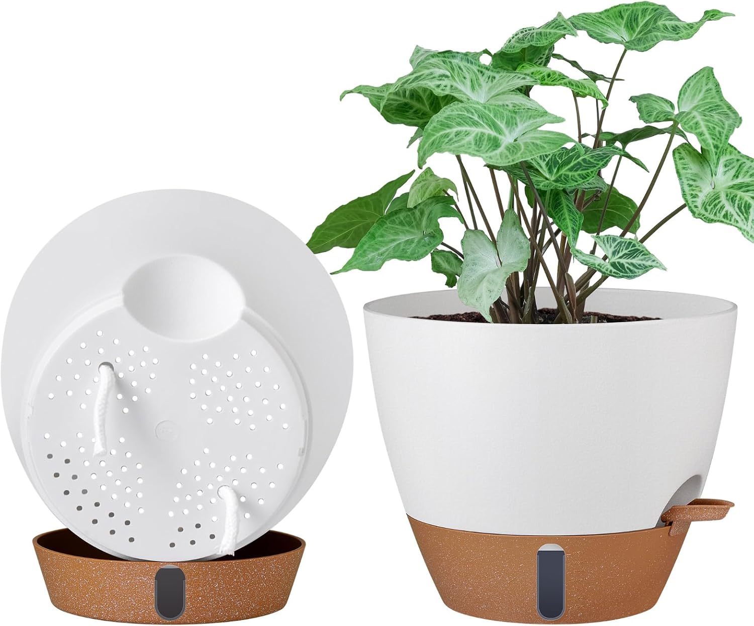 Self-Watering Pots, 3 Sizes, 8 to 12 inch