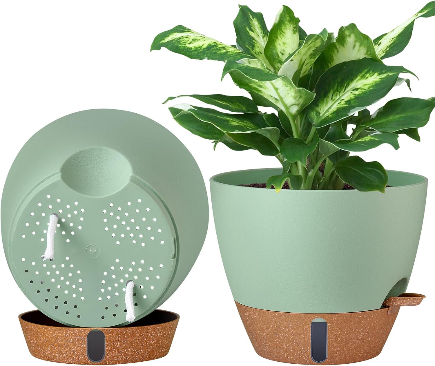 Self-Watering Pots, 3 Sizes, 8 to 12 inch