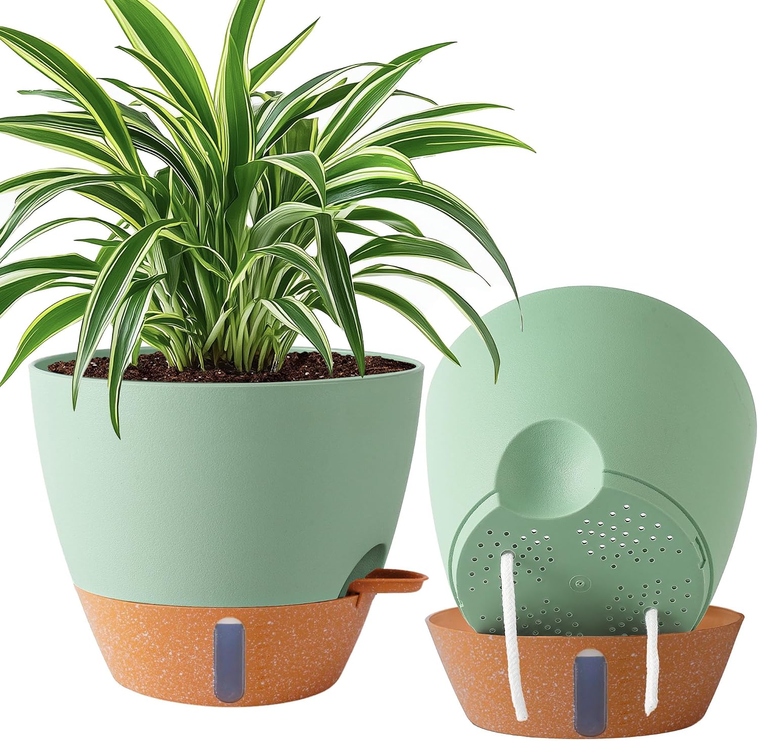 Self-Watering Pots for Indoor and Outdoor Plants, 3 Sizes