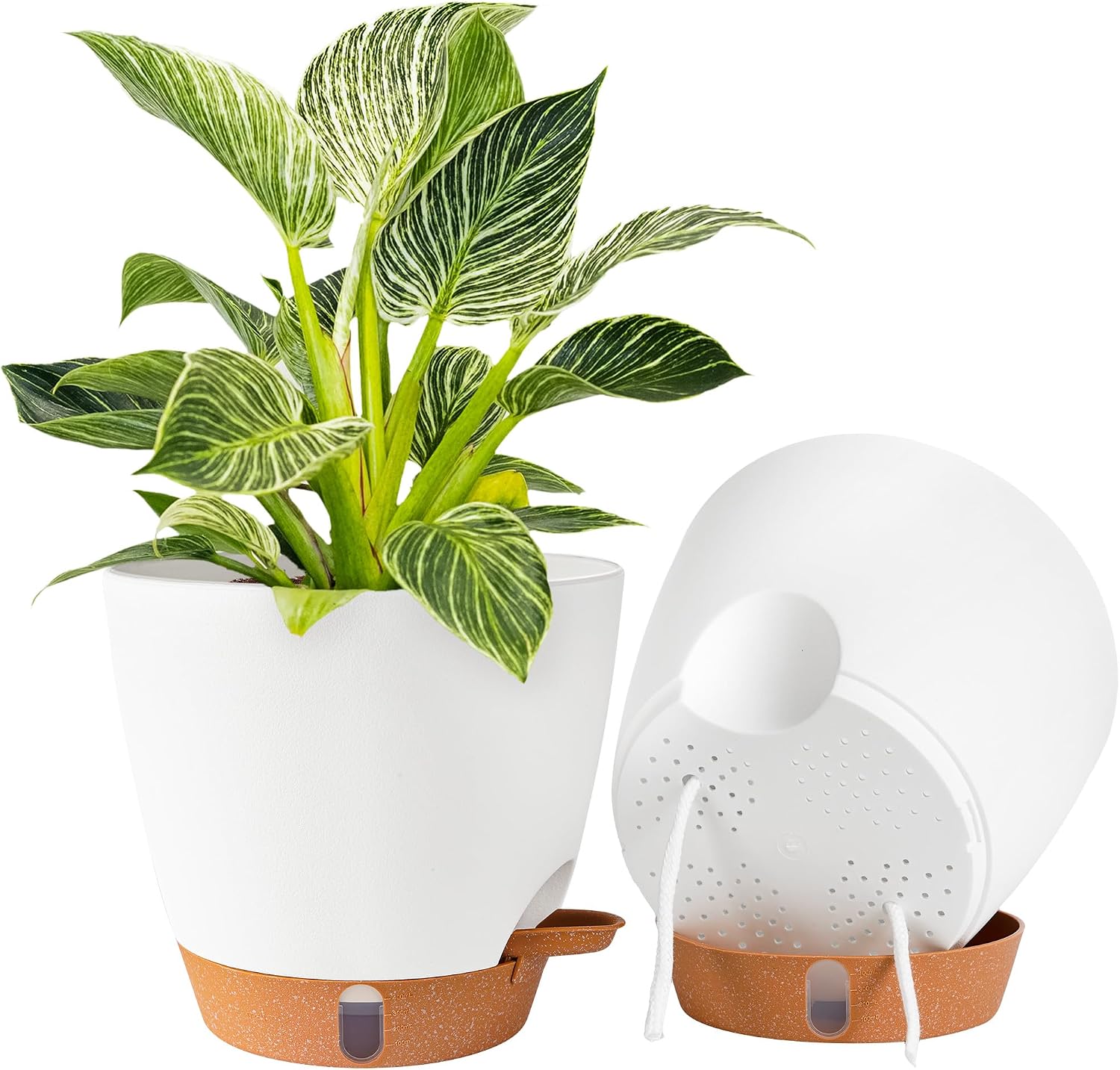 Self-Watering Pots for Indoor and Outdoor Plants, 3 Sizes