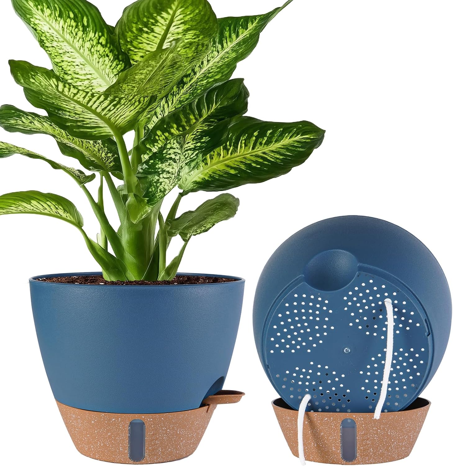 Self-Watering Pots for Indoor and Outdoor Plants, 3 Sizes