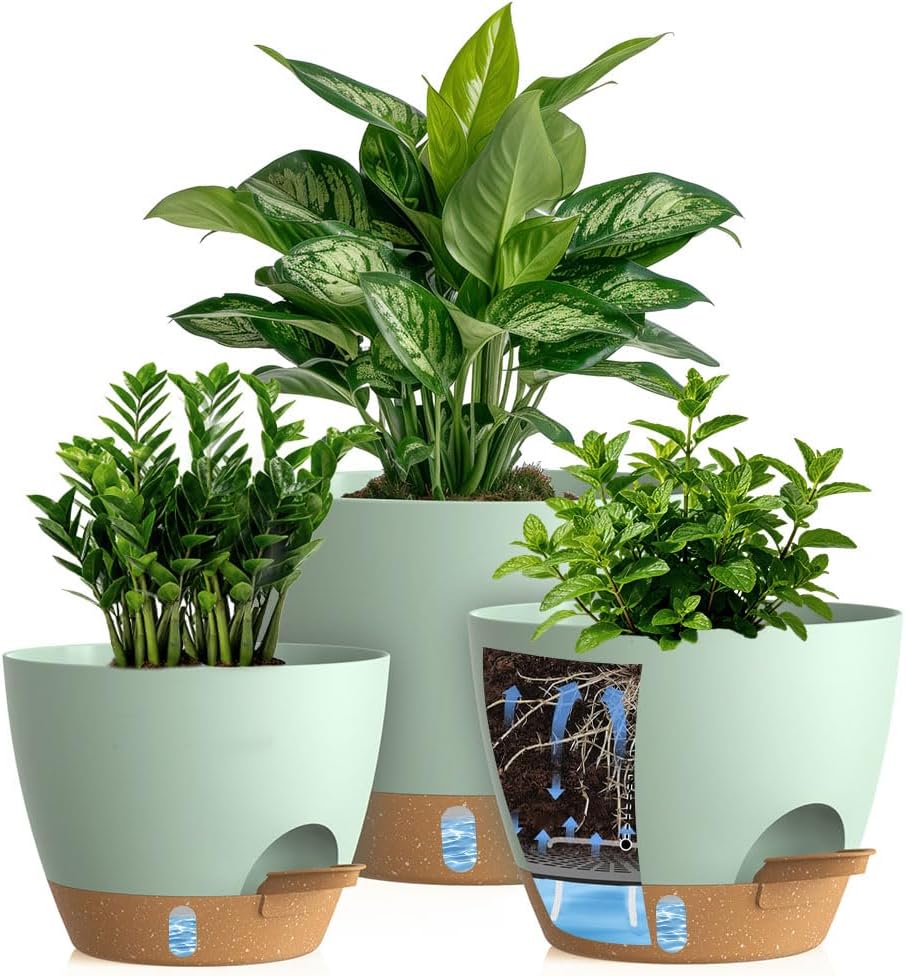 Self-Watering Pots with Drainage Holes, 3 Pack, 8 to 12 inch